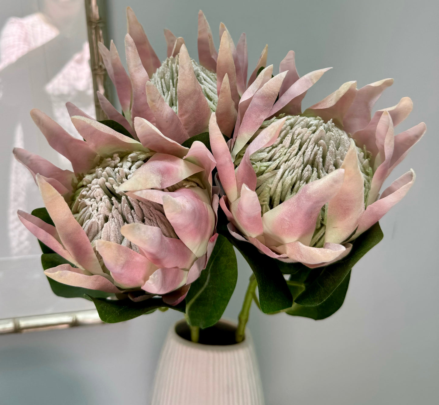 King Protea-Light Pink