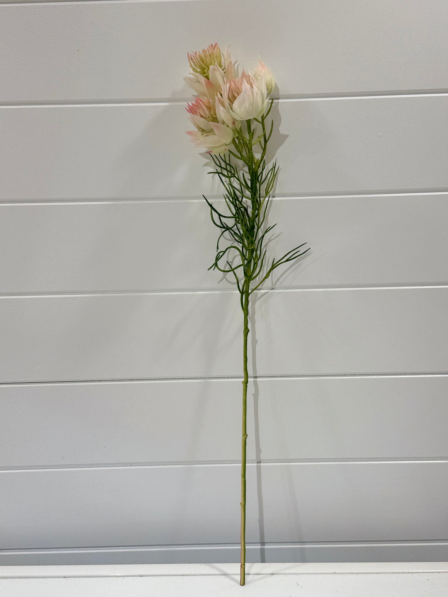 Blushing Bride-Light Pink