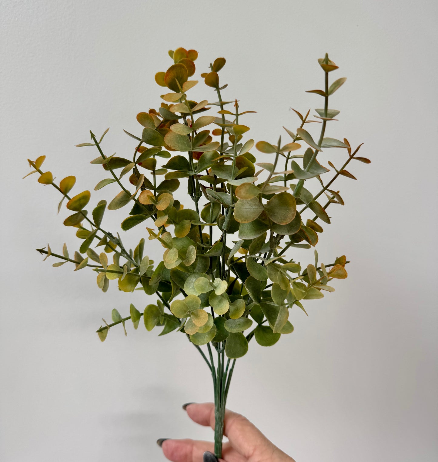 Eucalypt bunch-Rust green