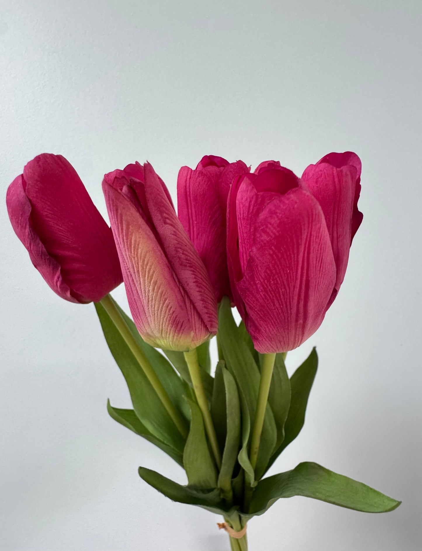 Tulip bunch-Fuchsia
