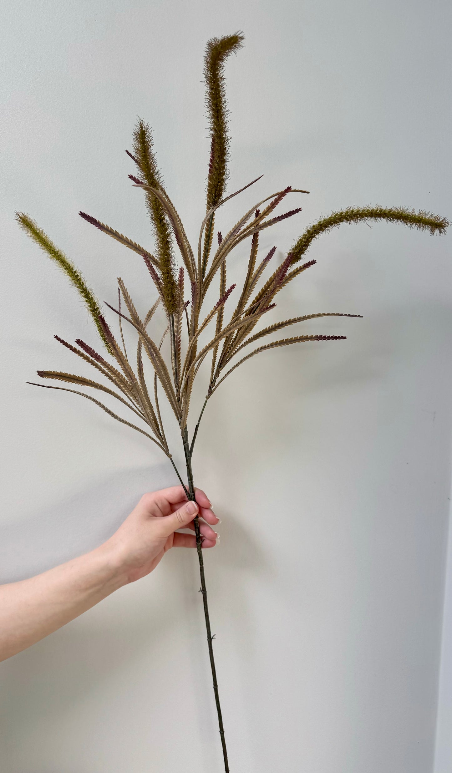 Wolf Tail Grass-Olive Green