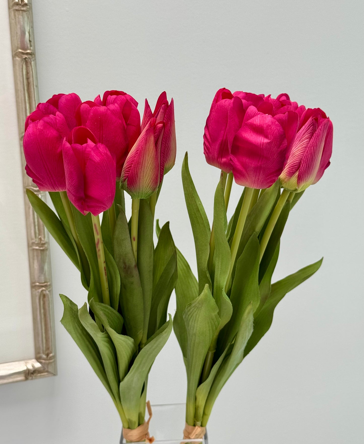 Tulip bunch-Fuchsia