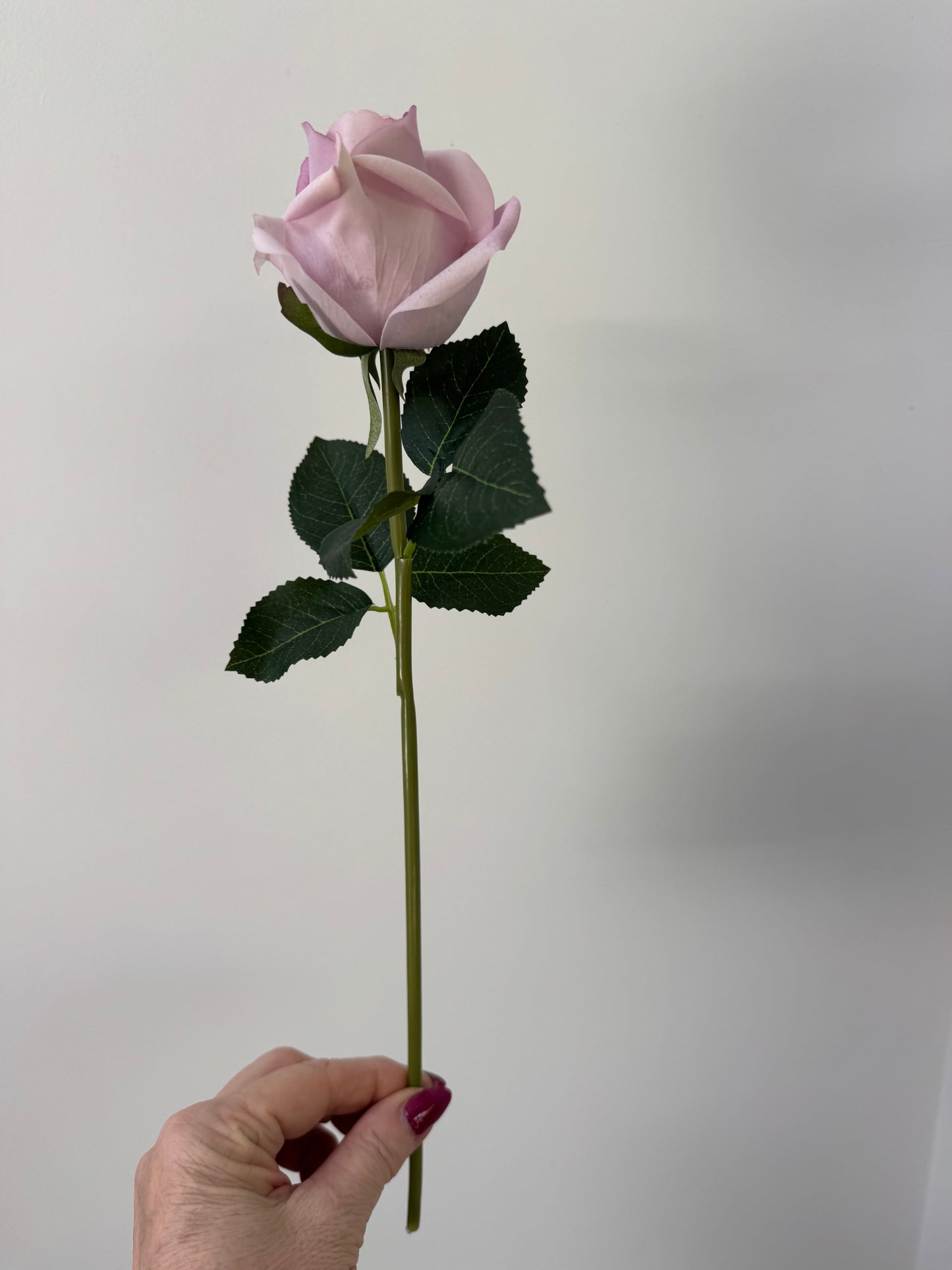 Rosebud Open Bella-Lavender