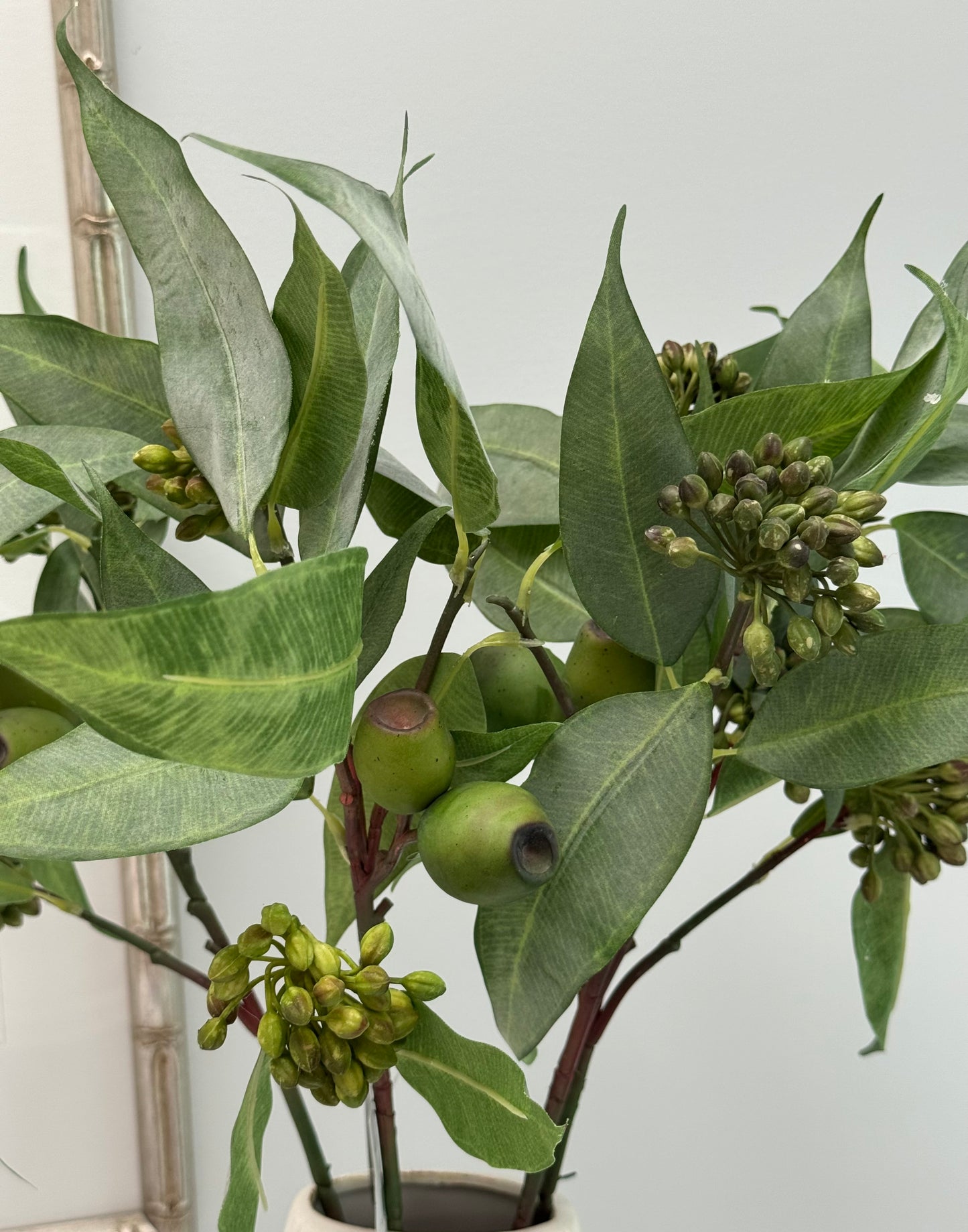 Eucalypt Pod & Seed stem