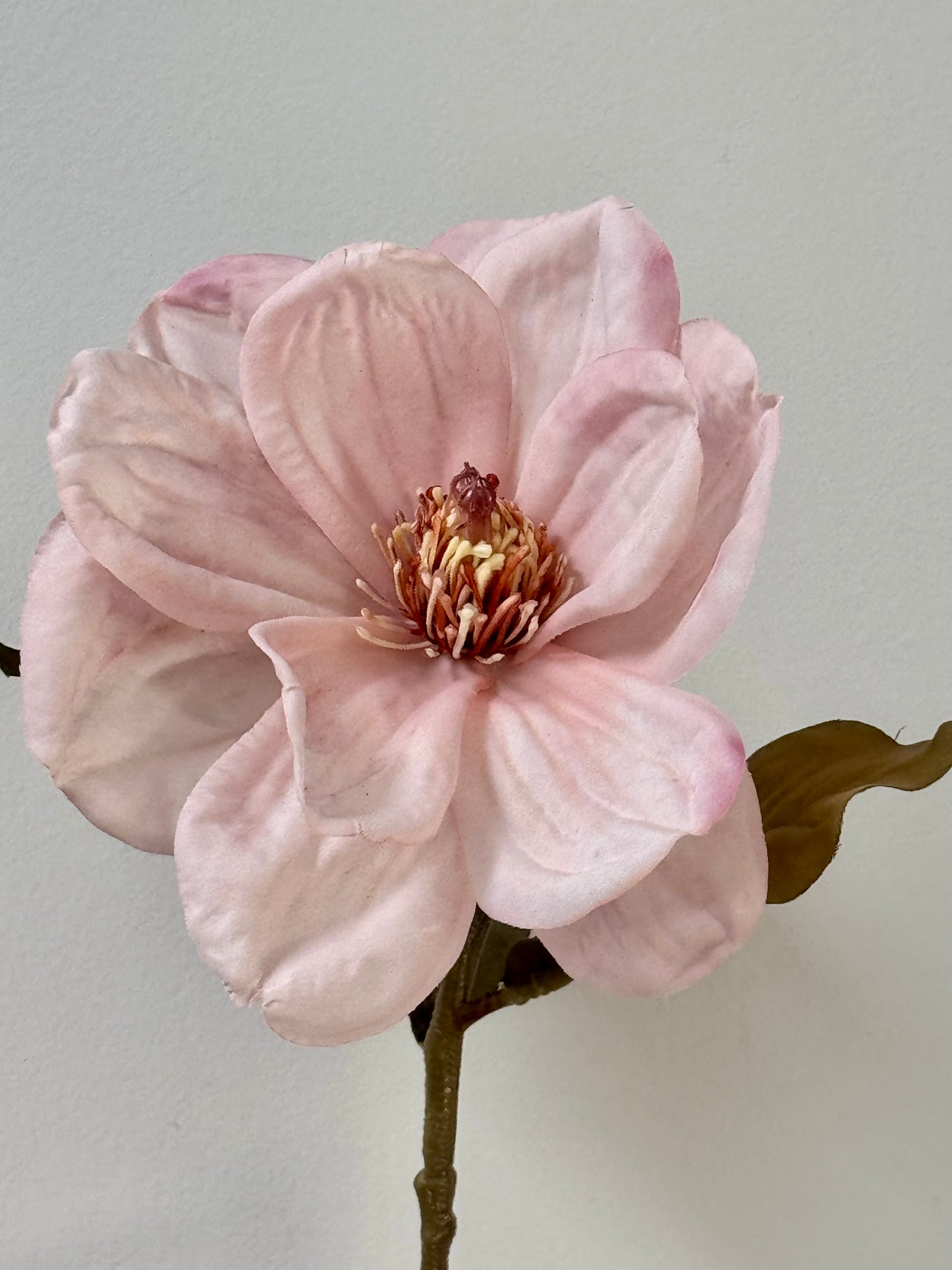 Magnolia-Light Mauve