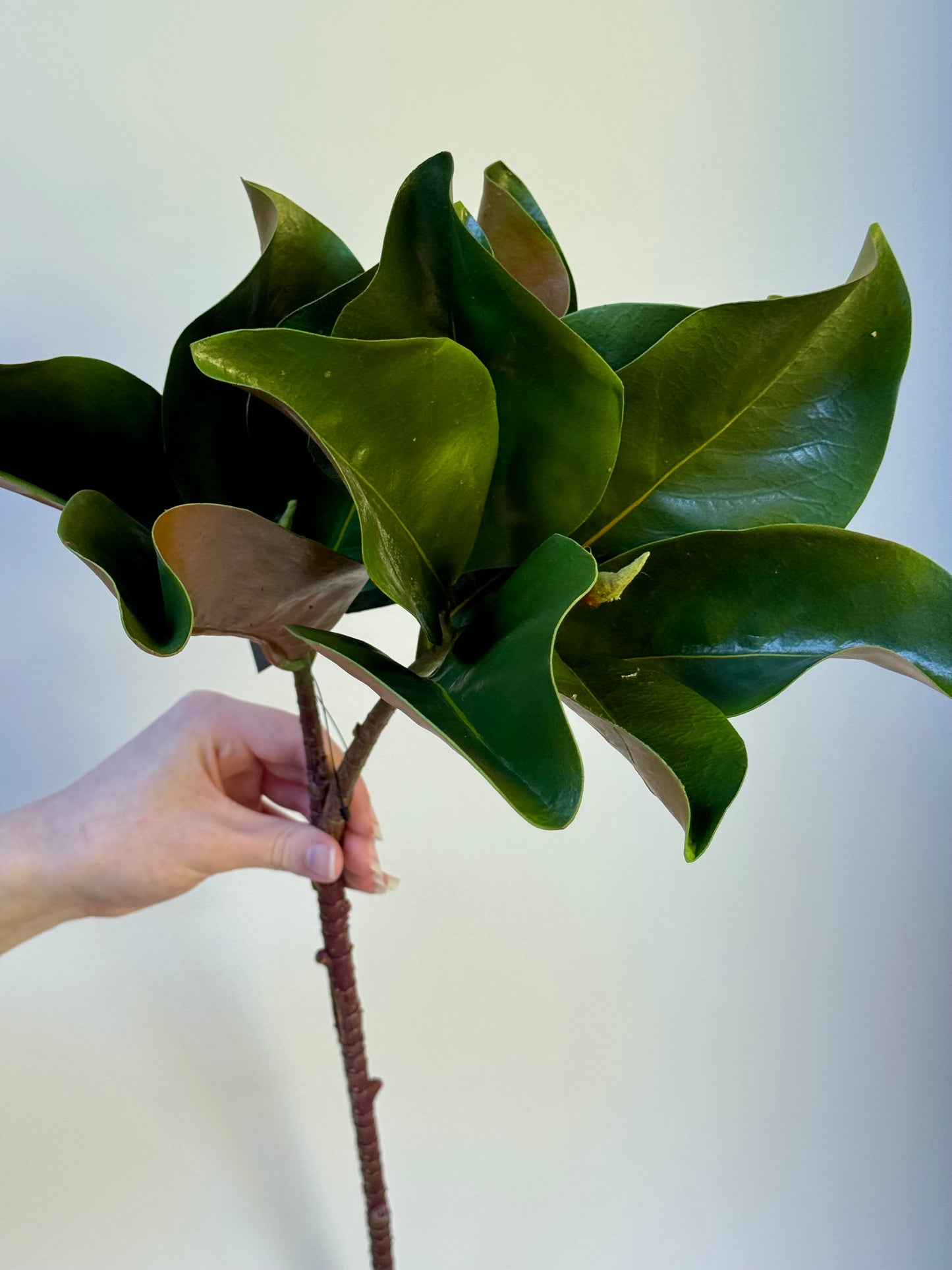Real Touch Magnolia Leaf Spray