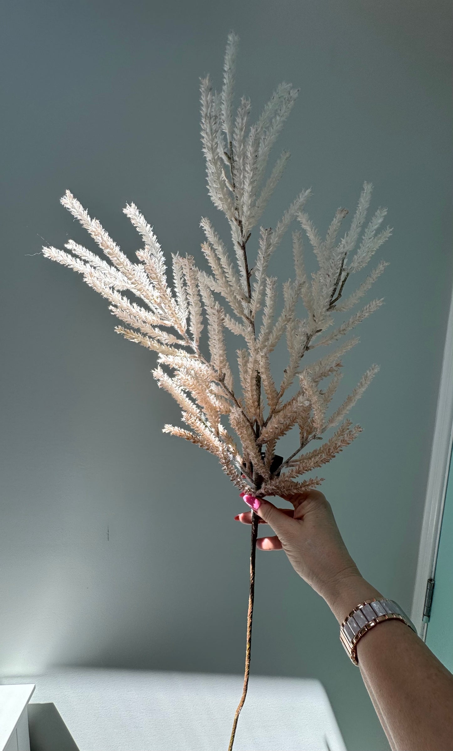 Pampas Grass-Cream