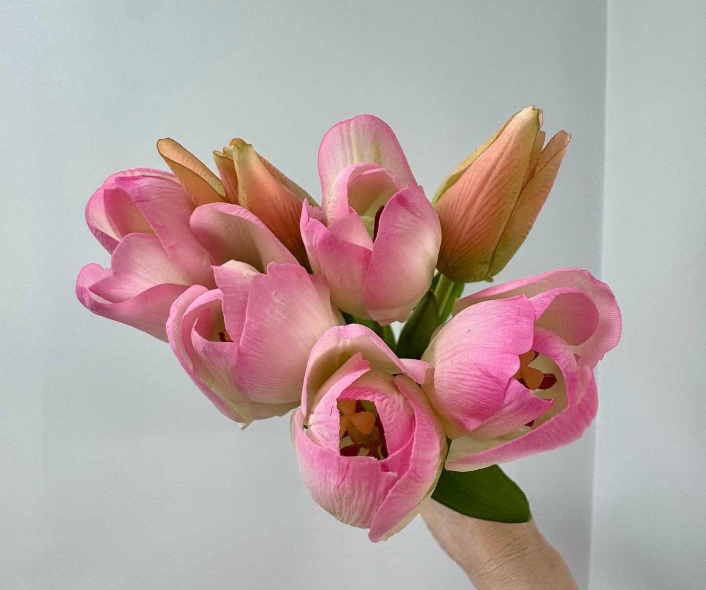 Tulip bunch- Soft Pink