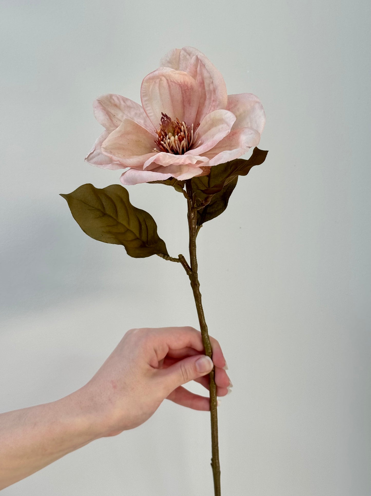 Magnolia- Dusty Pink