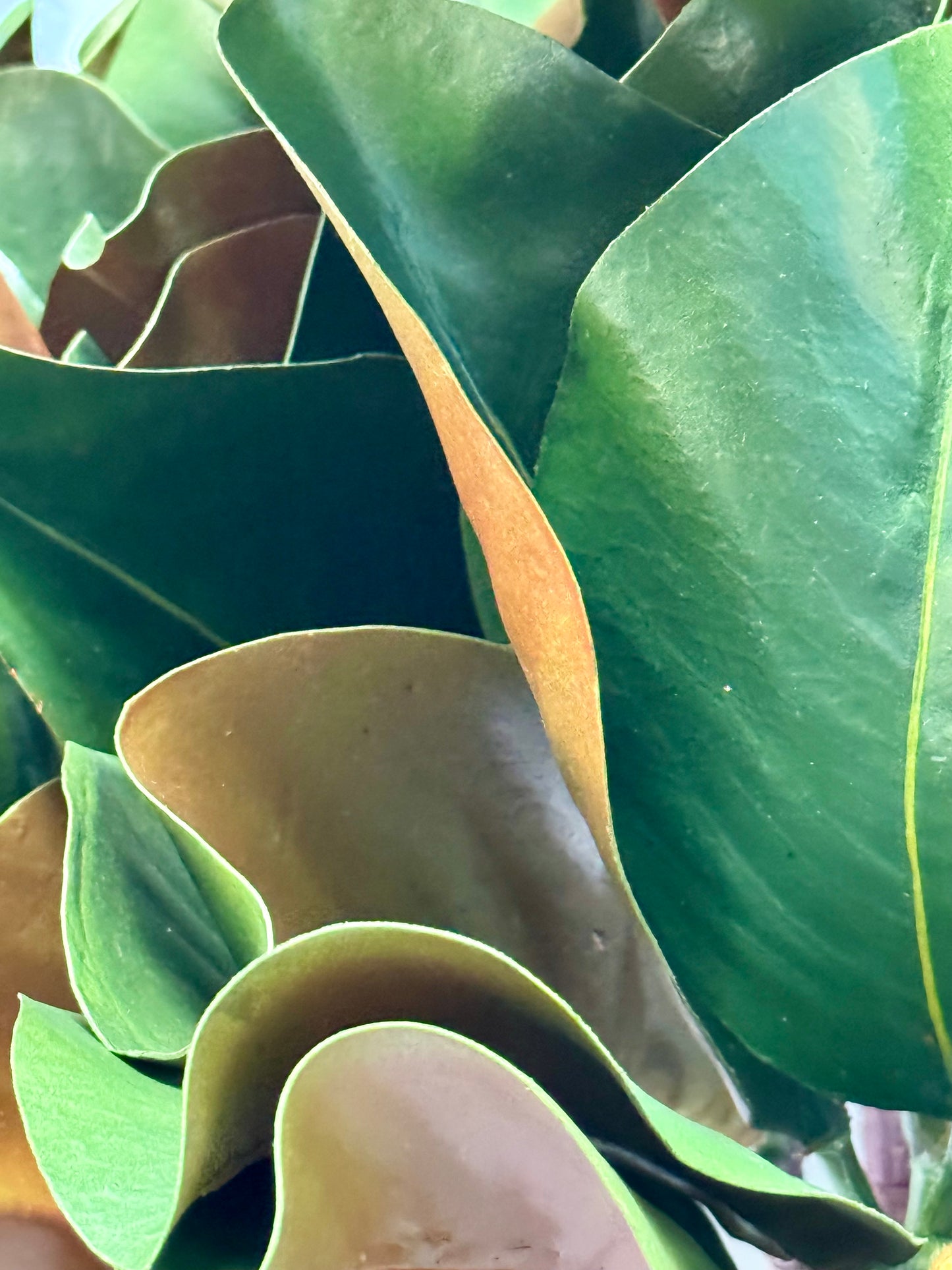 Real Touch Magnolia Leaf Spray
