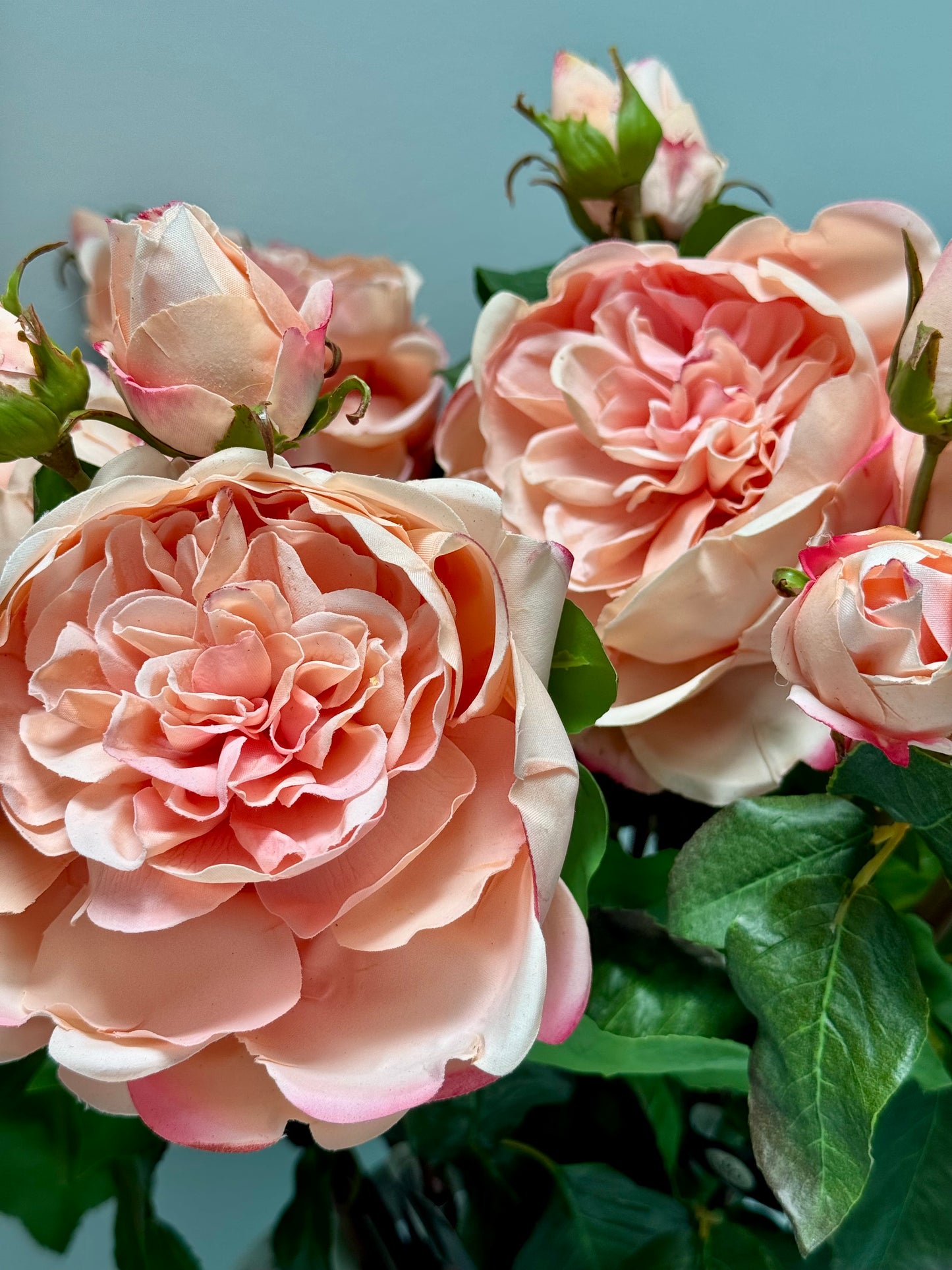 English Rose- Peach