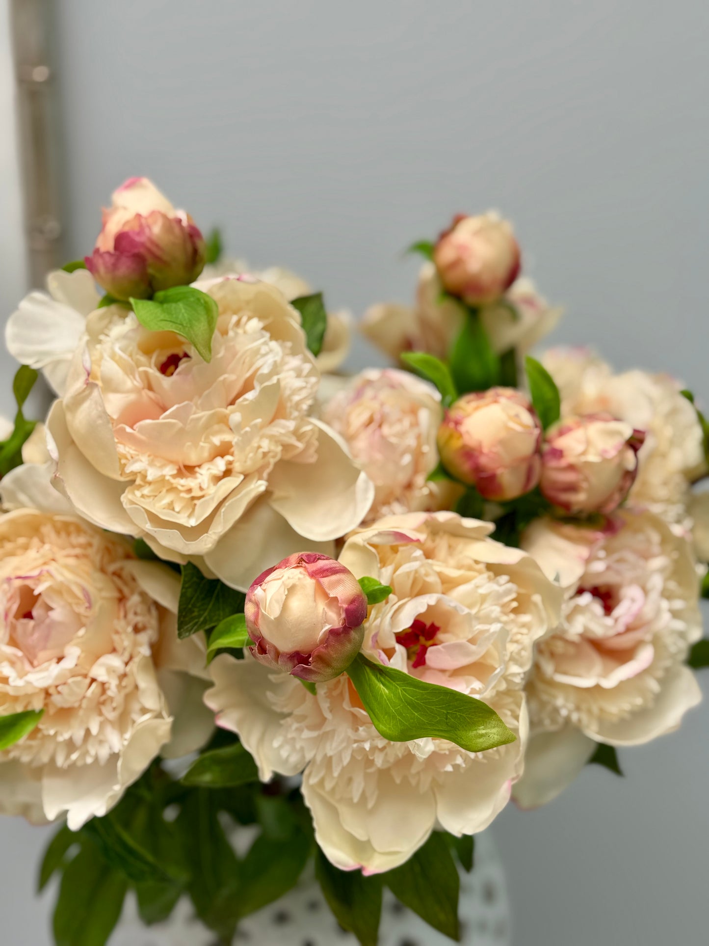 Peony- Champagne