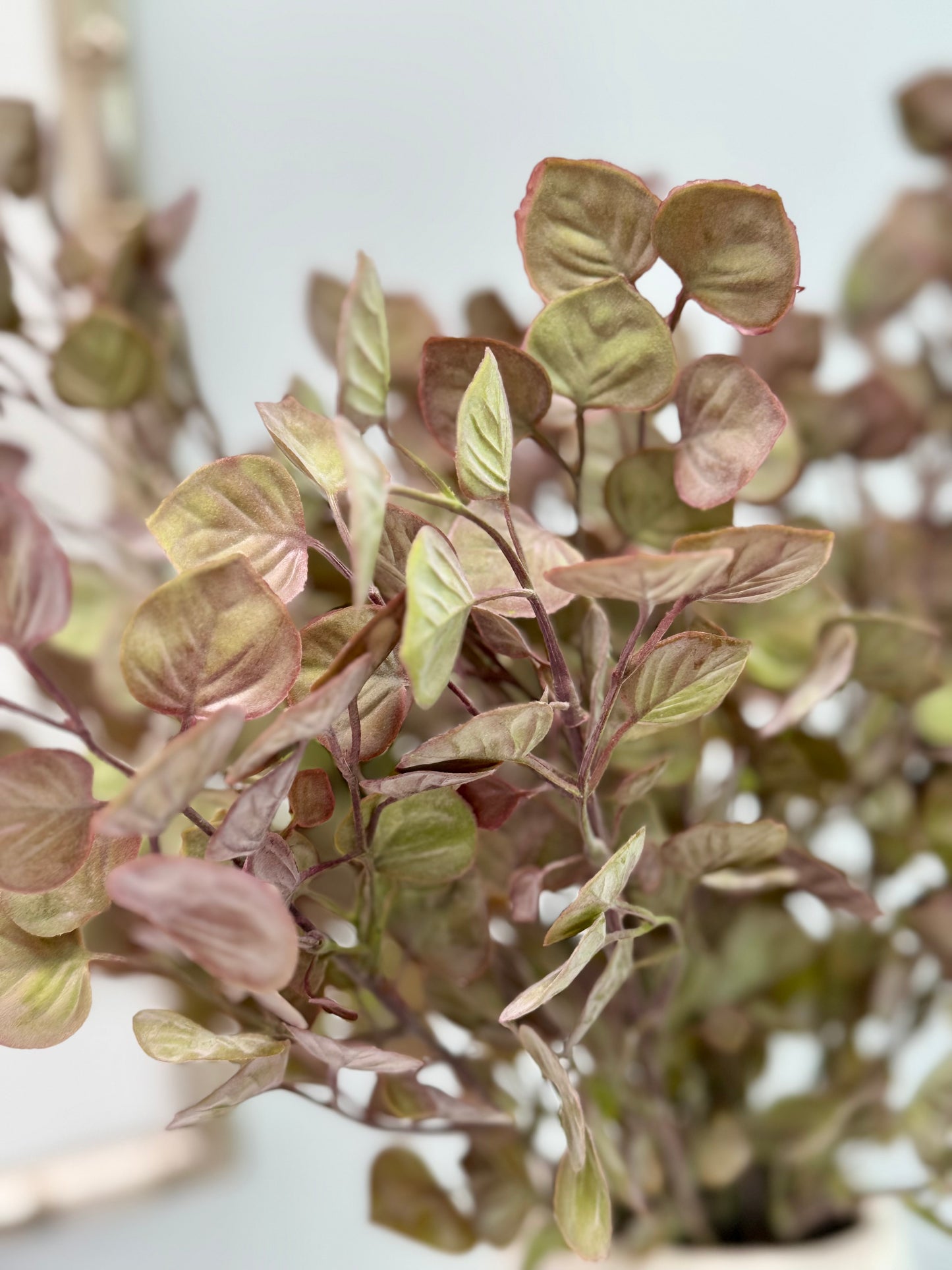 Cordate leaf spray-burgundy/green