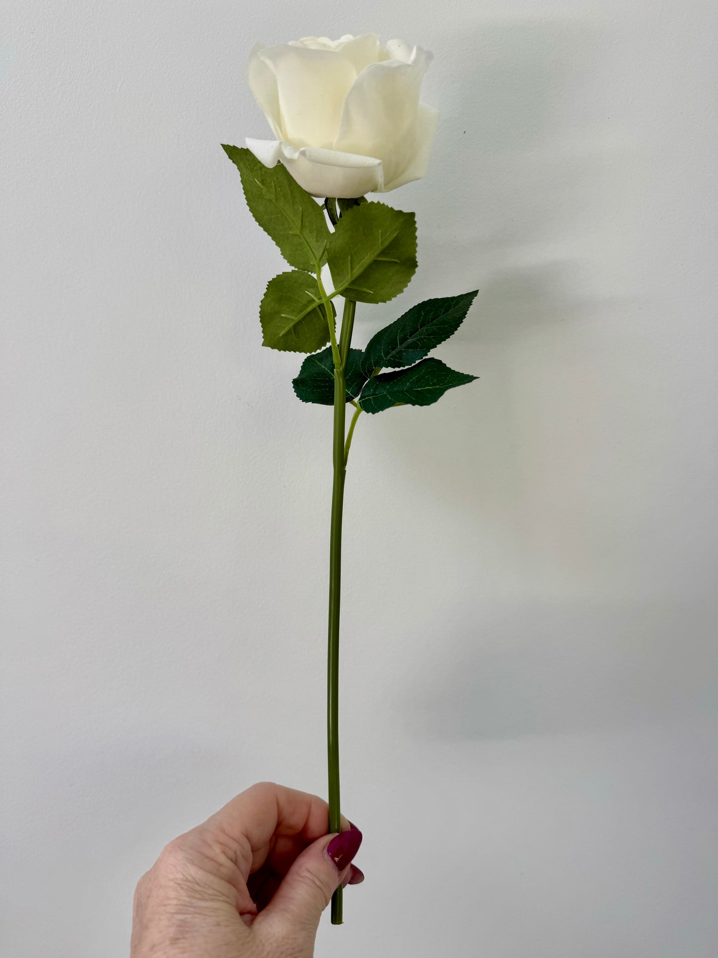 Bella Rosebud -White
