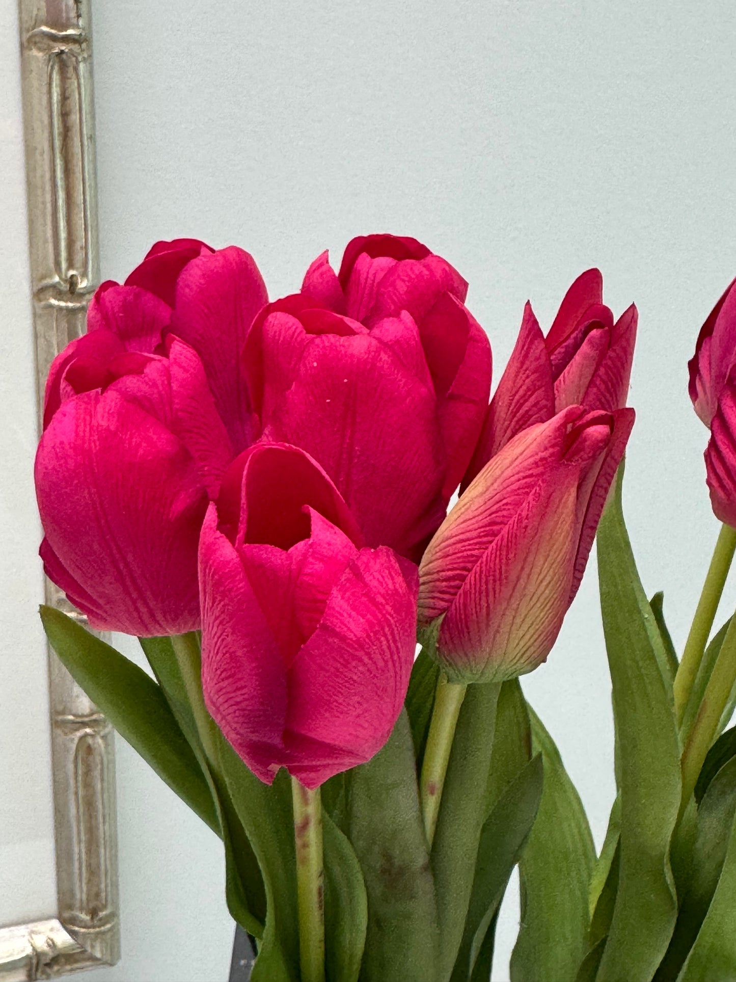 Tulip bunch-Fuchsia