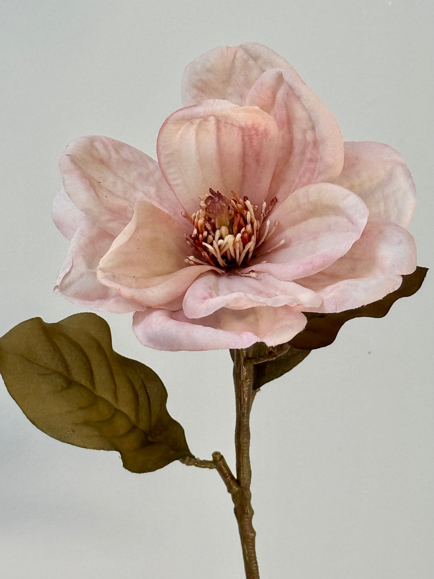 Magnolia- Dusty Pink