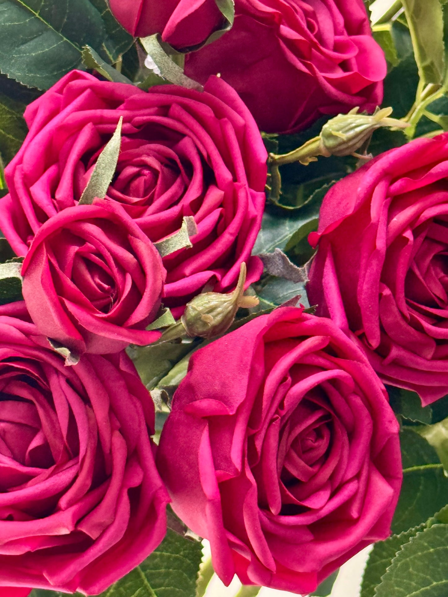 Sara Bush Rose Spray- Magenta