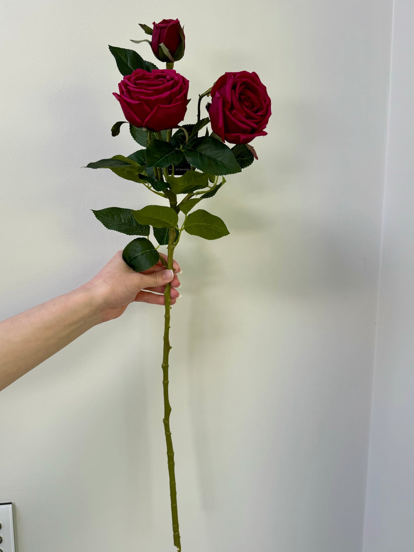 Sara Bush Rose Spray- Magenta