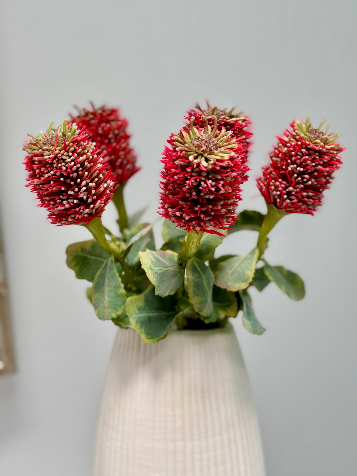 Leucospermum- Red
