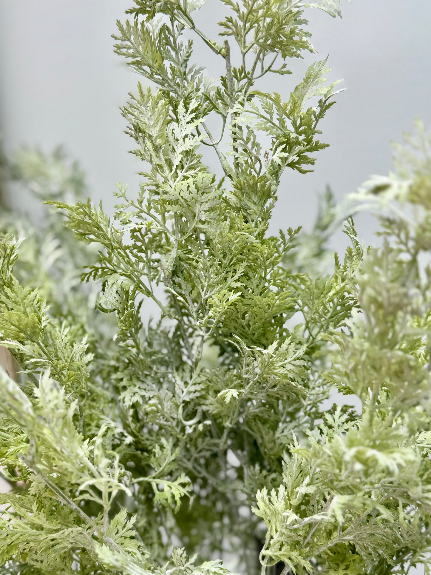 Thread grass-Green