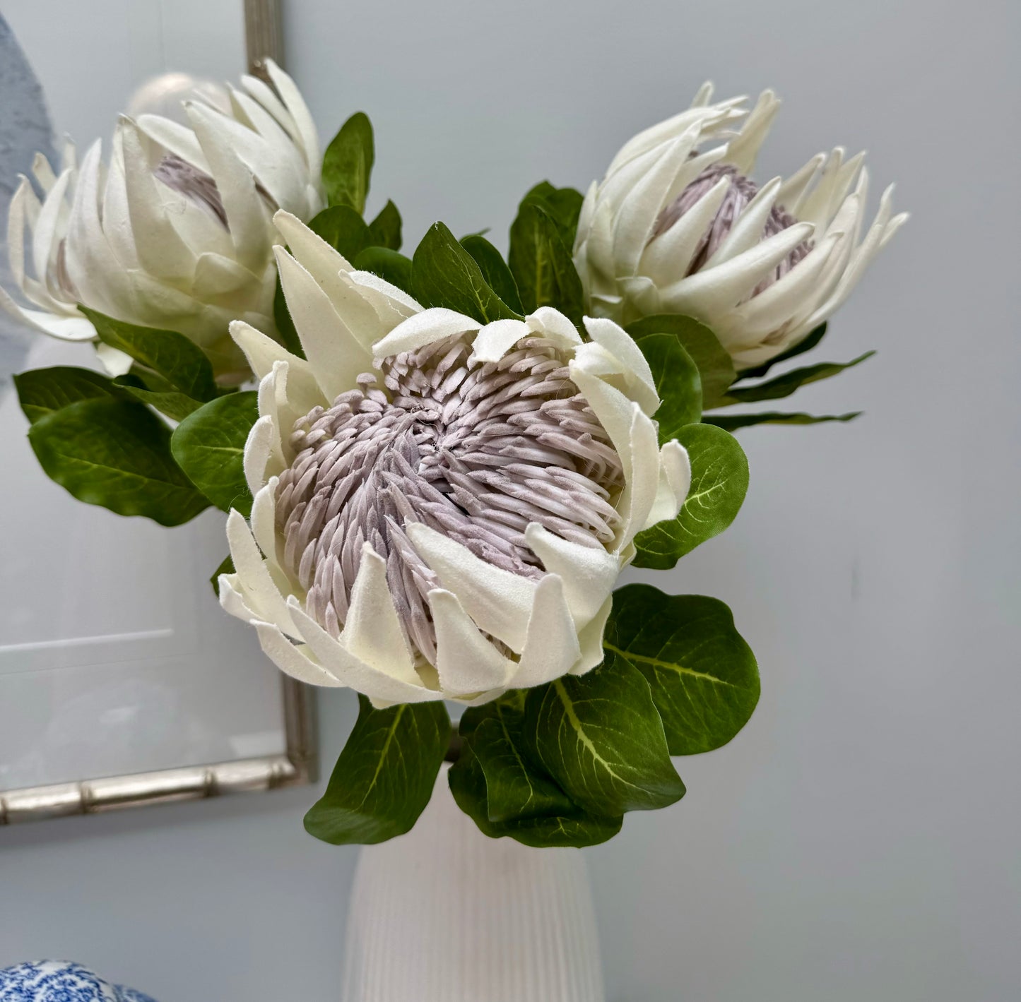 King Protea-Cream