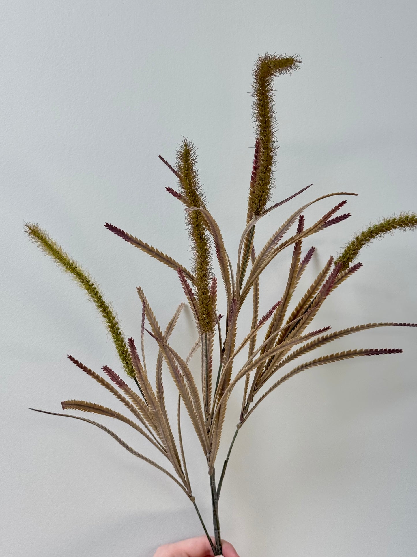 Wolf Tail Grass-Olive Green
