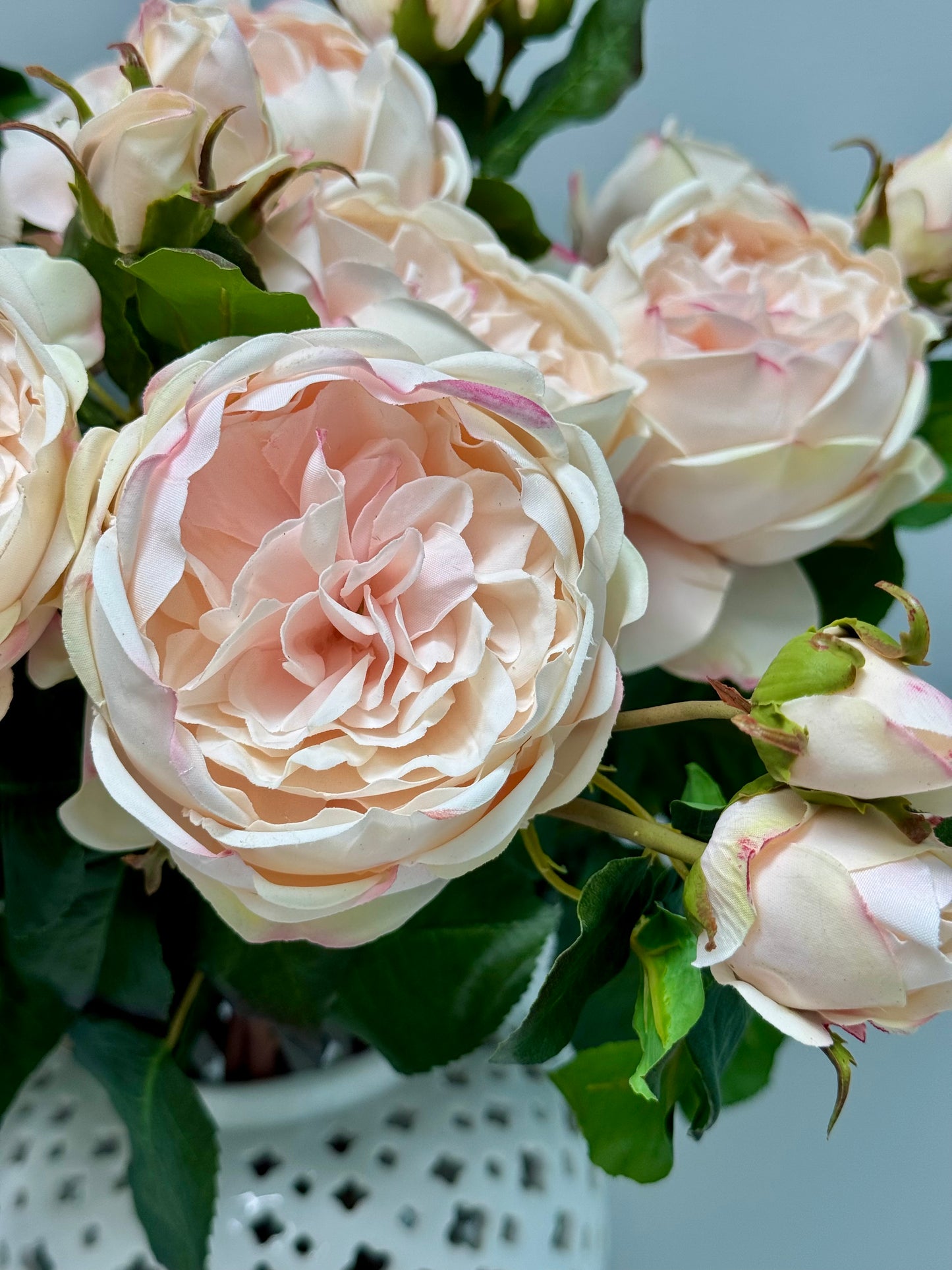 English Rose- Champagne