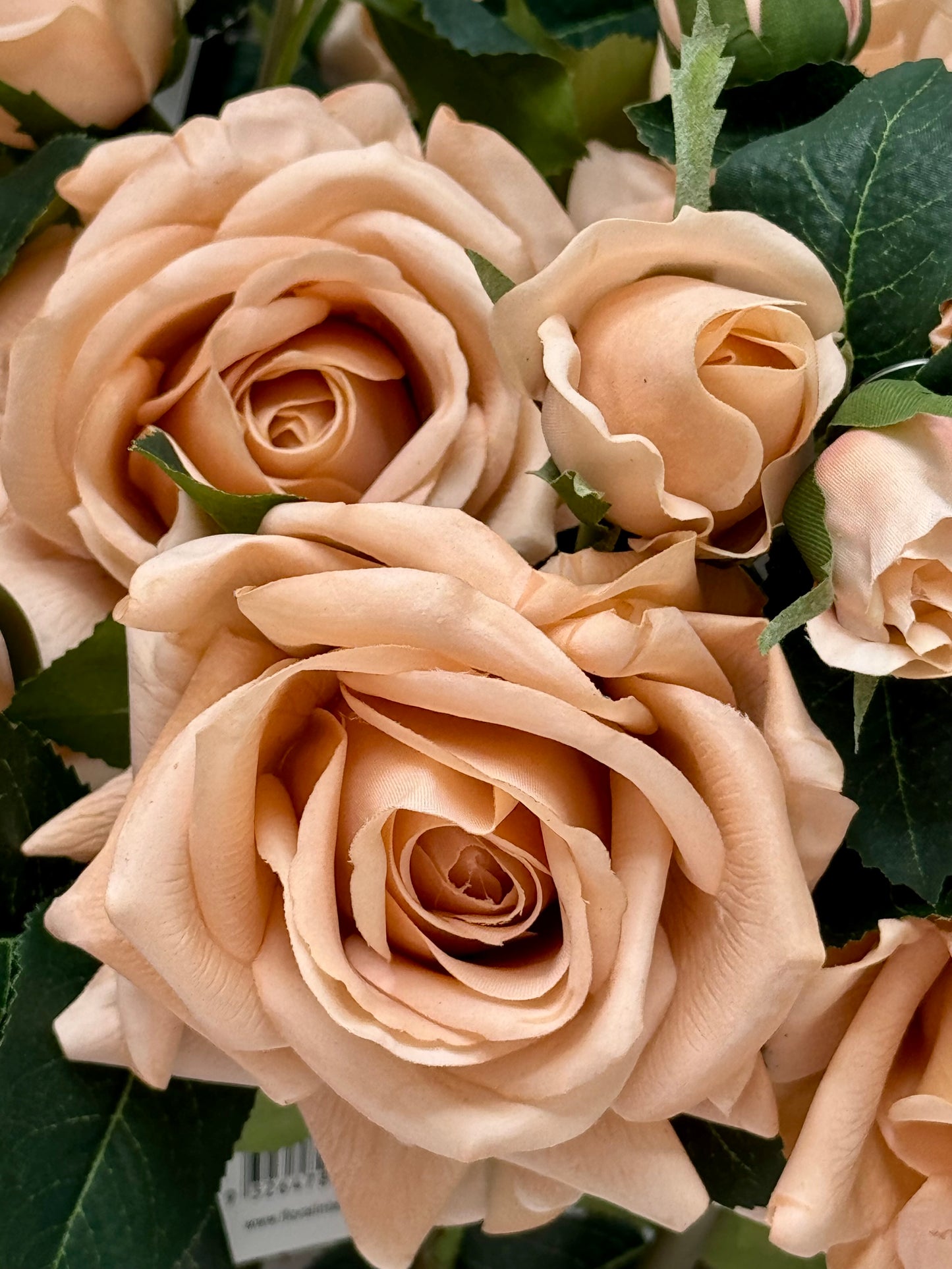 Lisa Rose Spray-Blush