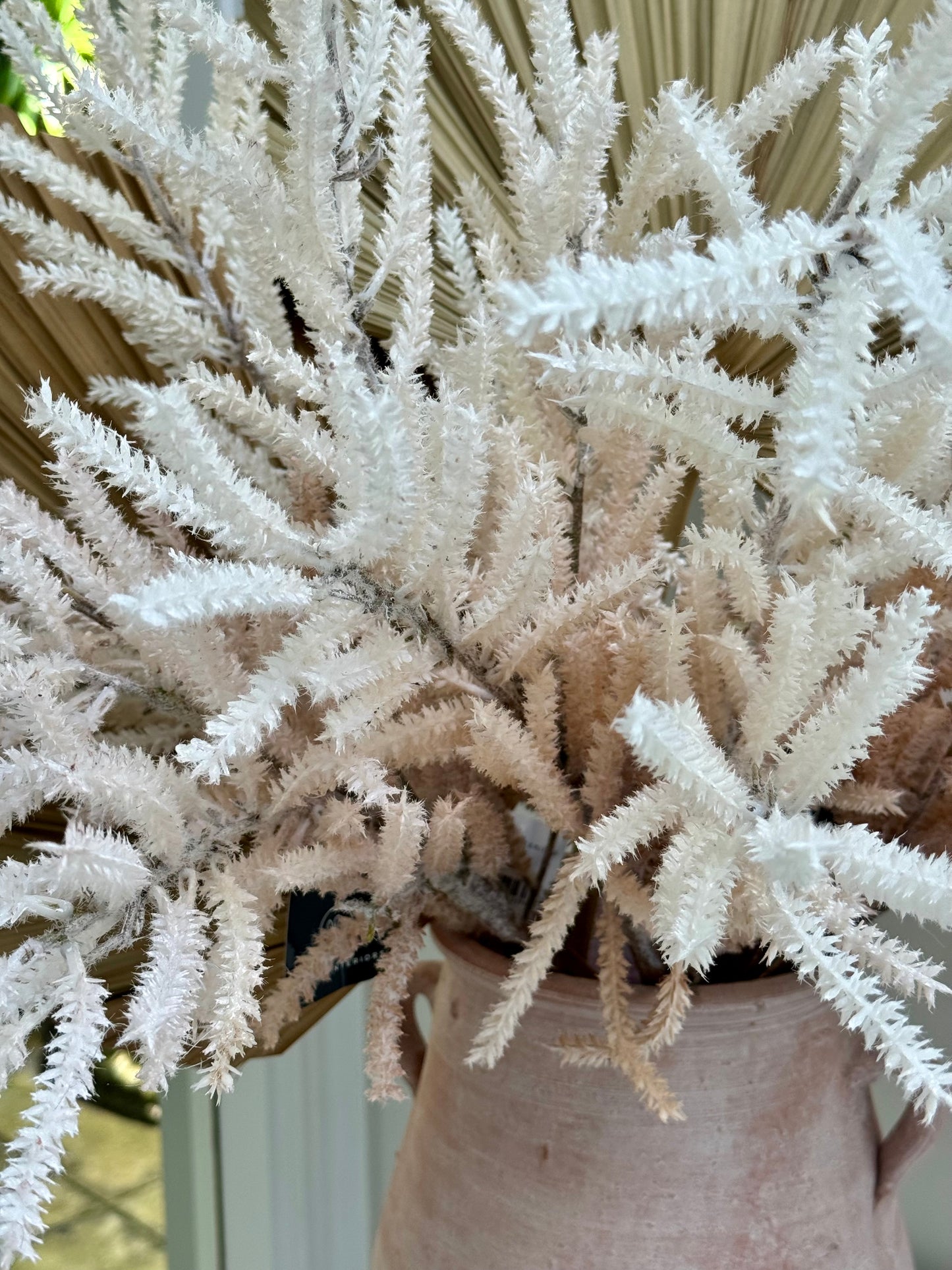 Pampas Grass-Cream