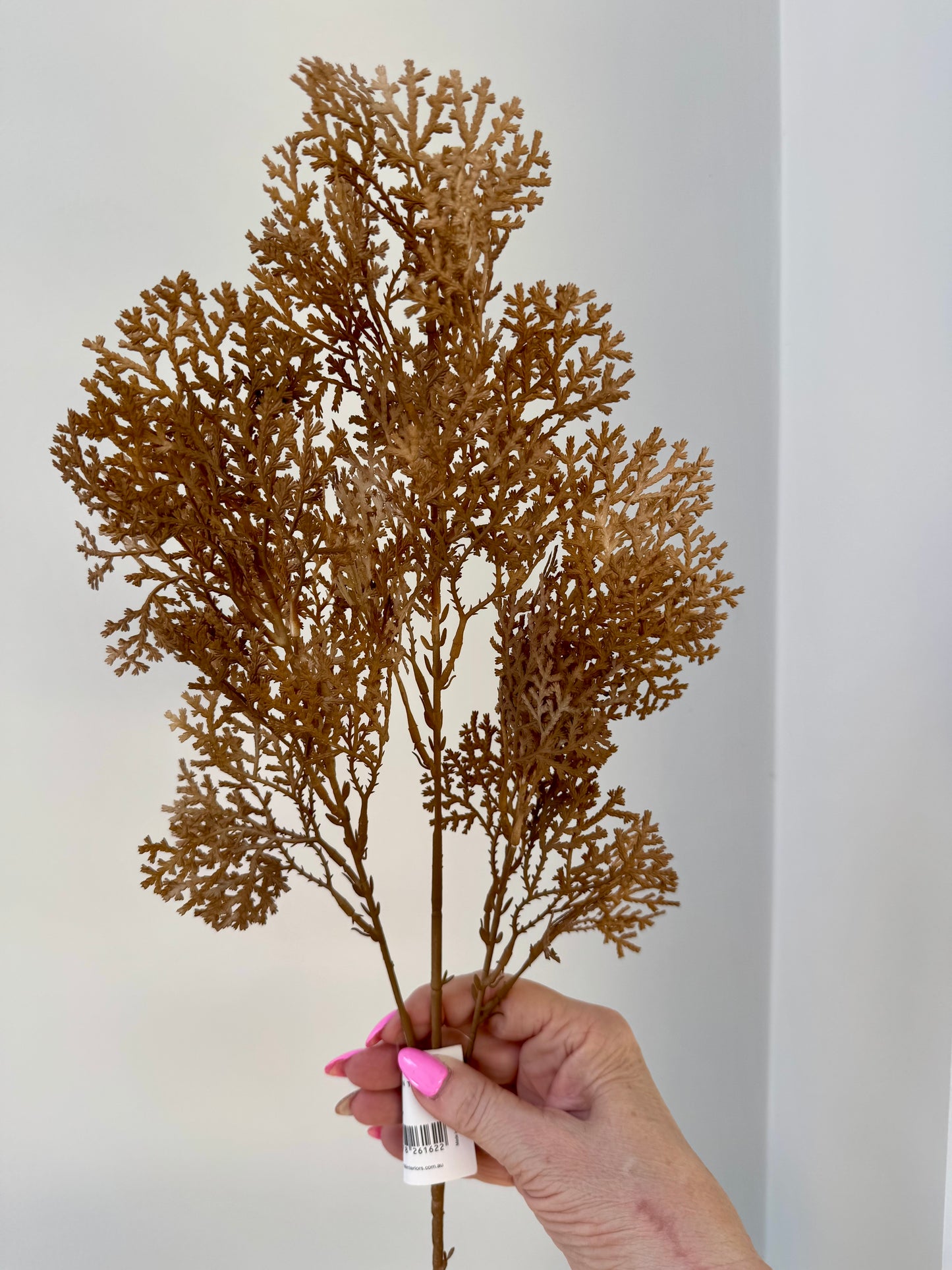 Coral Fern spray- Brown