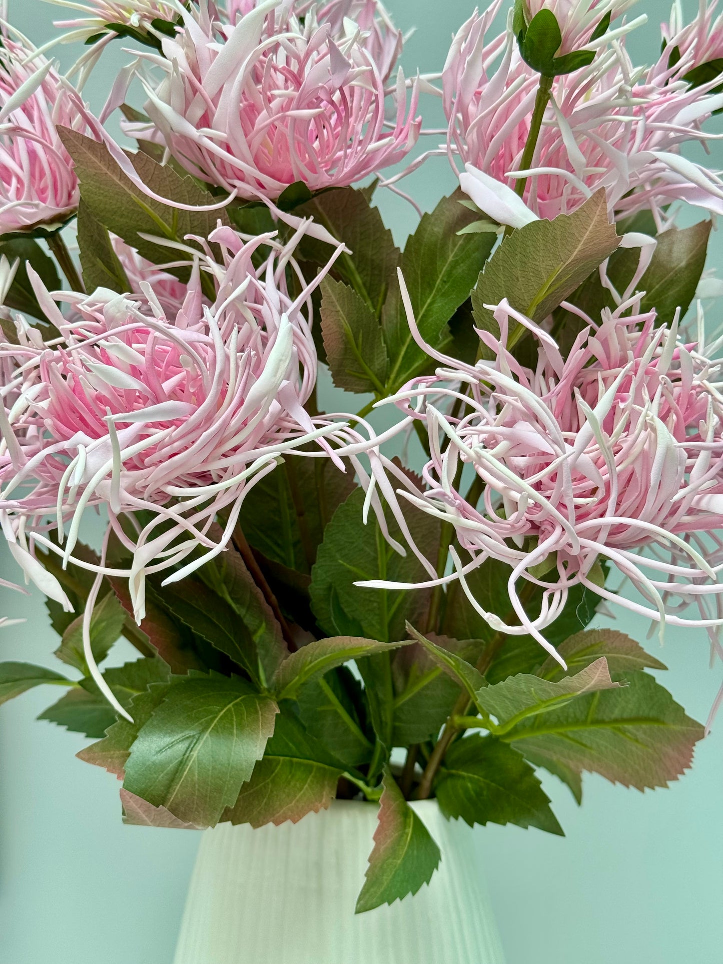 Spider Chrysanthemum Spray- Pink