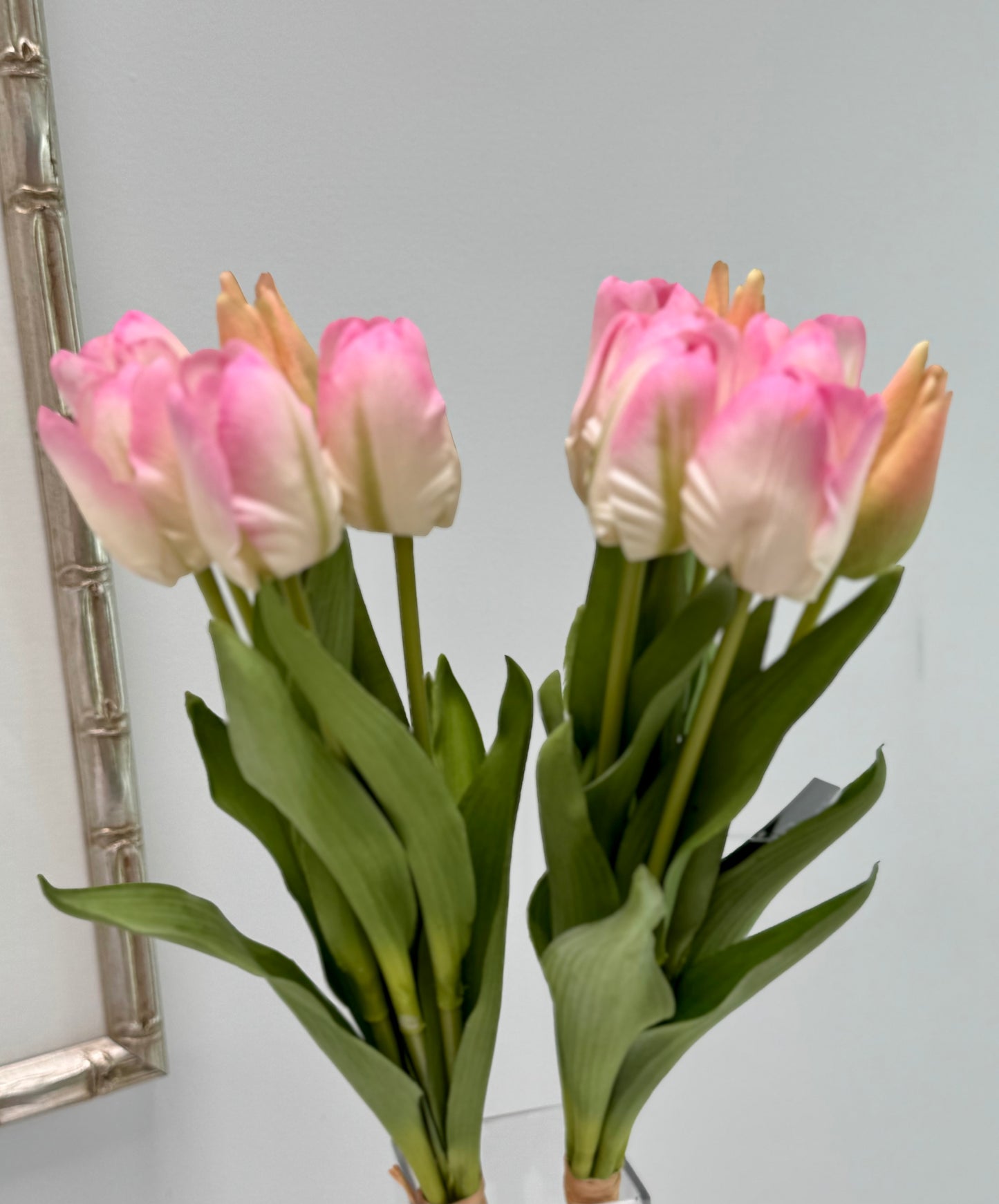 Tulip bunch- Soft Pink