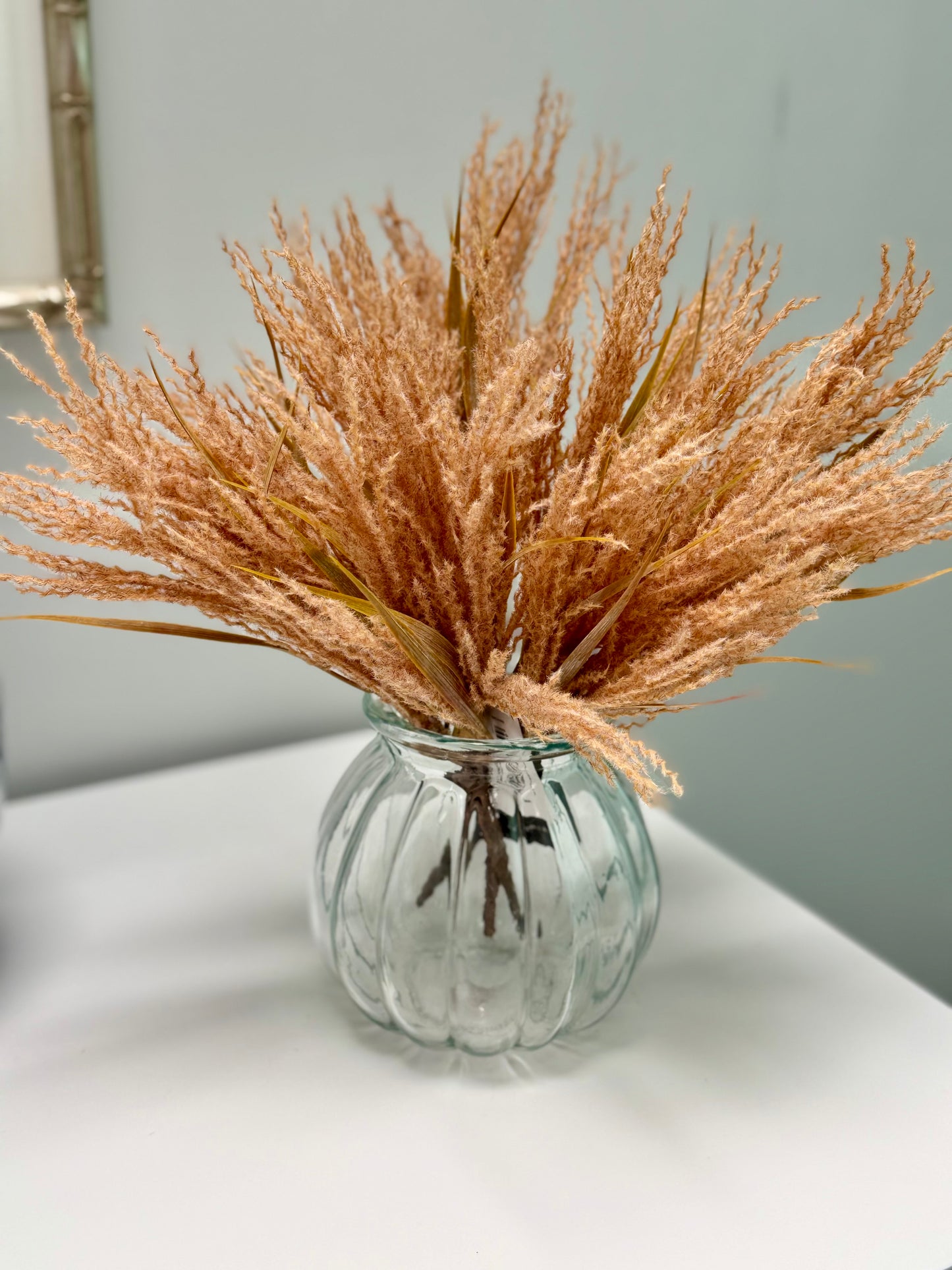 Plume grass-Toffee