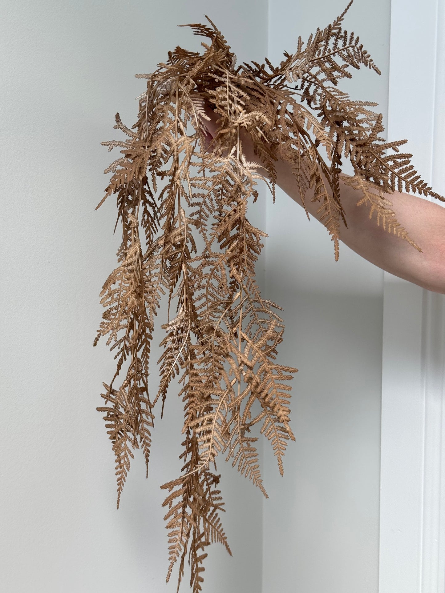 Hanging Fern- Toffee