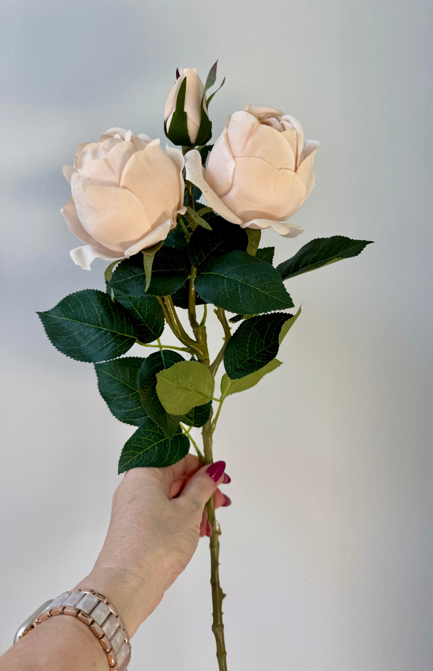 Adele Rose Spray-Soft Pink