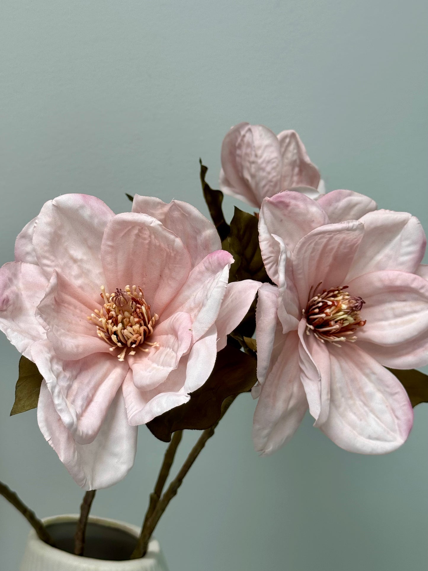 Magnolia-Light Mauve