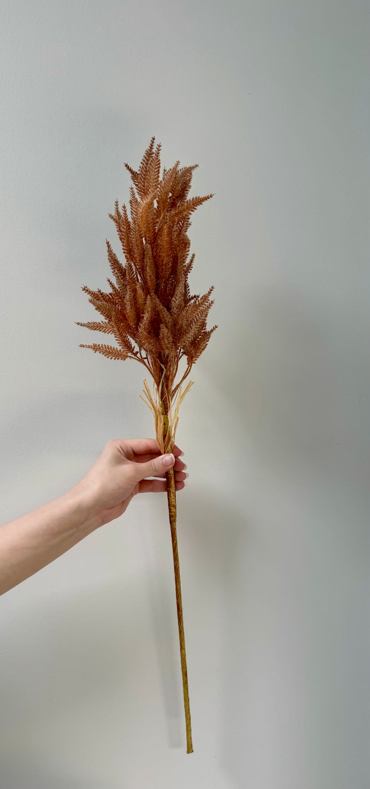 Sorghum- Toffee