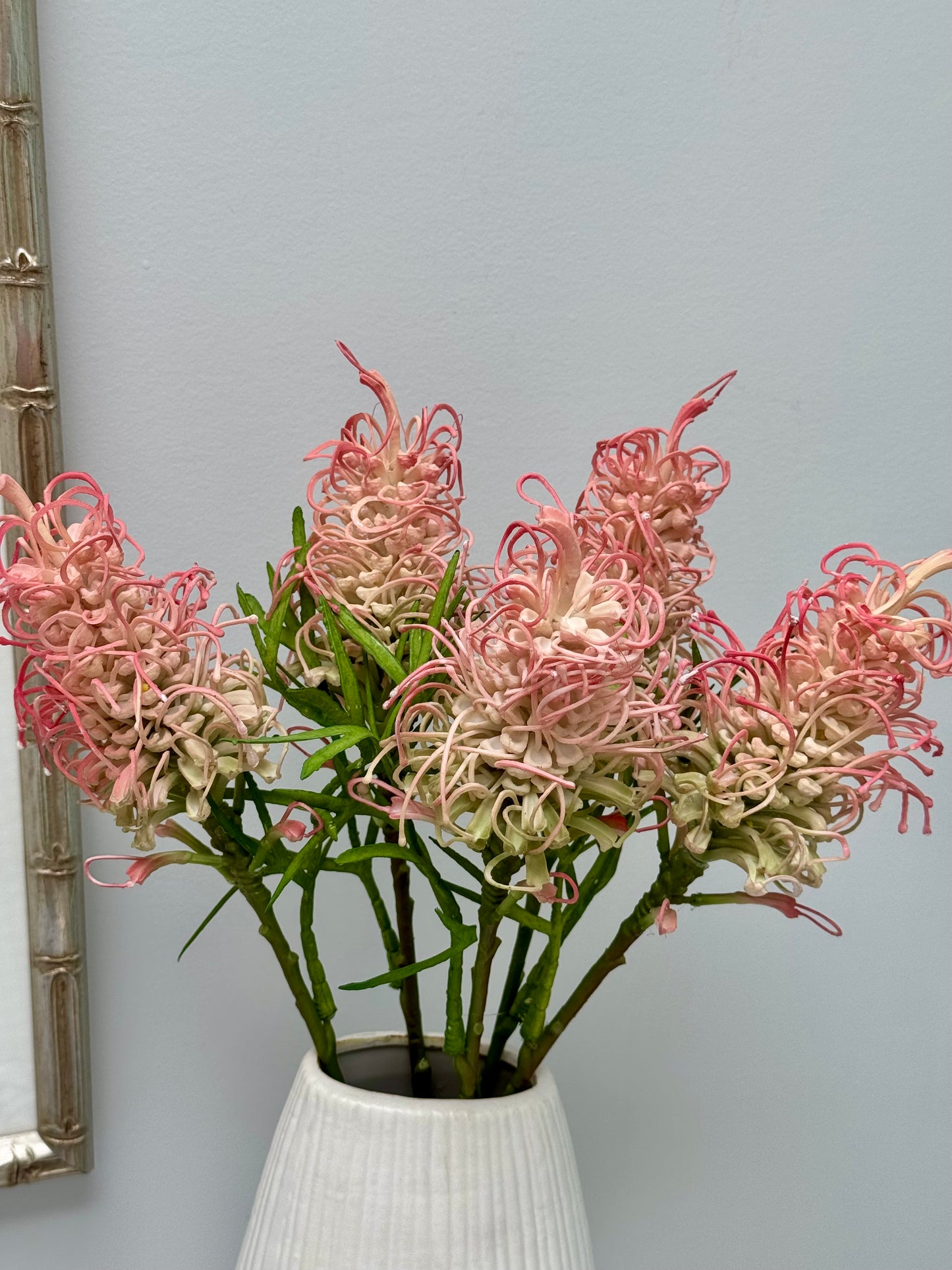 Grevillea- Pink and Green.