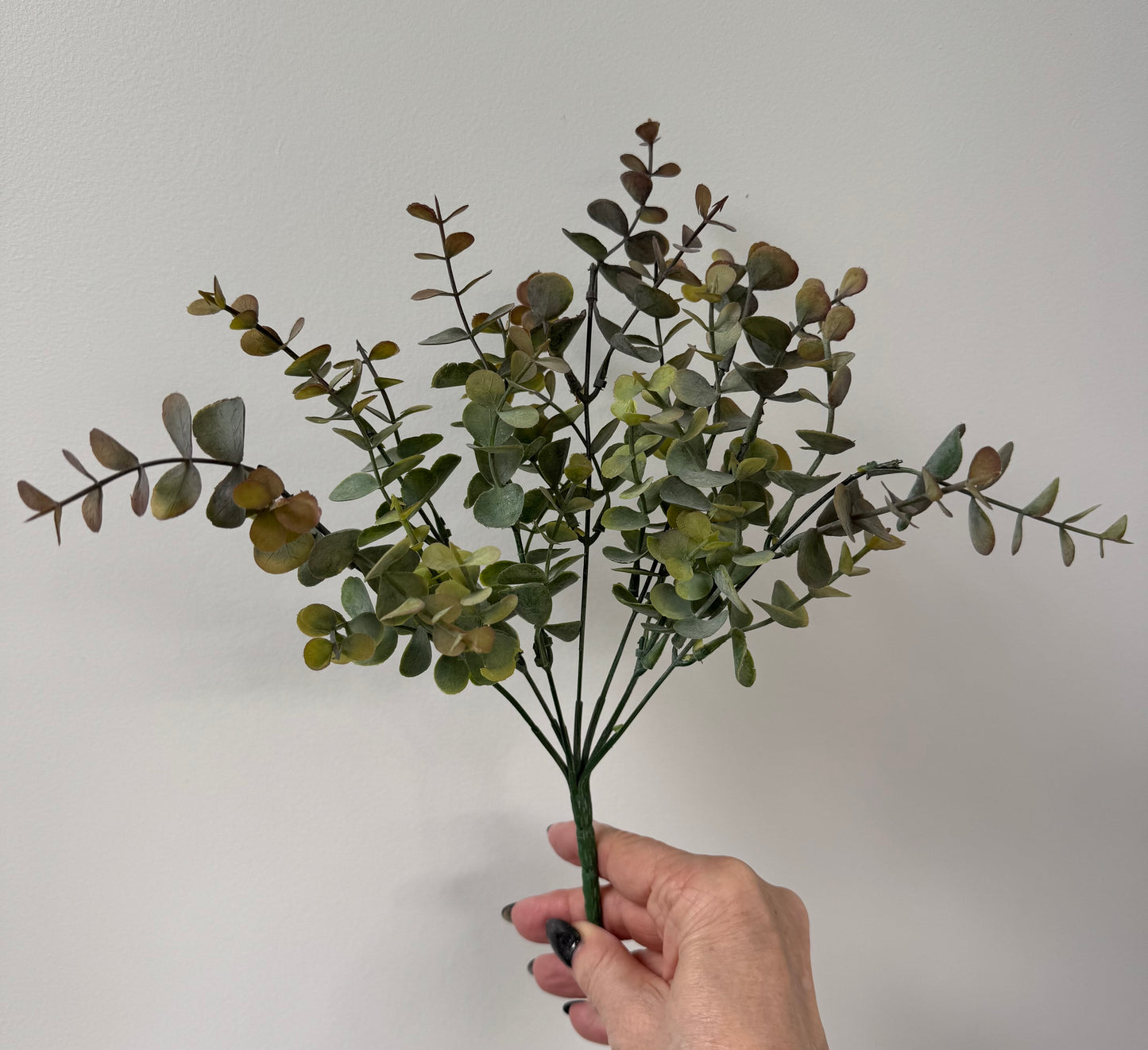 Eucalypt bunch-Olive green