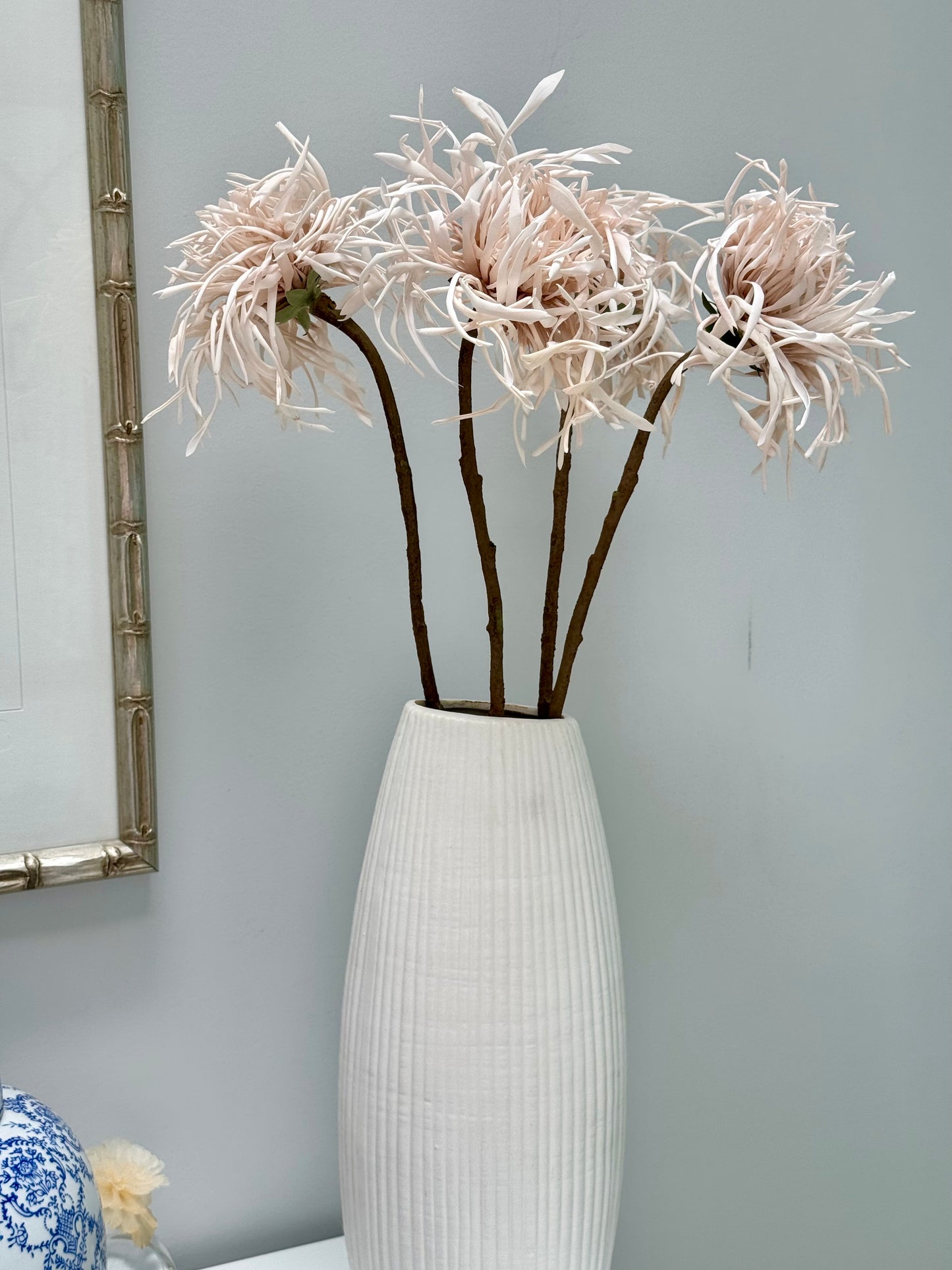 Spider Chrysanthemum-Cream