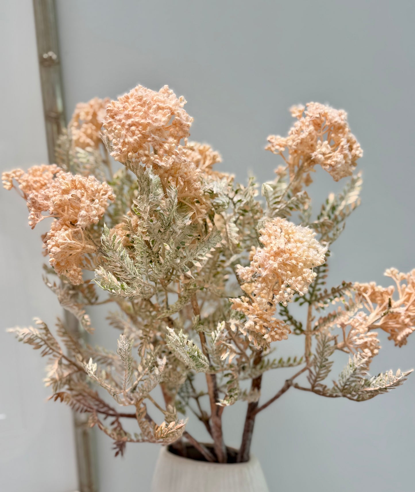 Wild Seed Spray