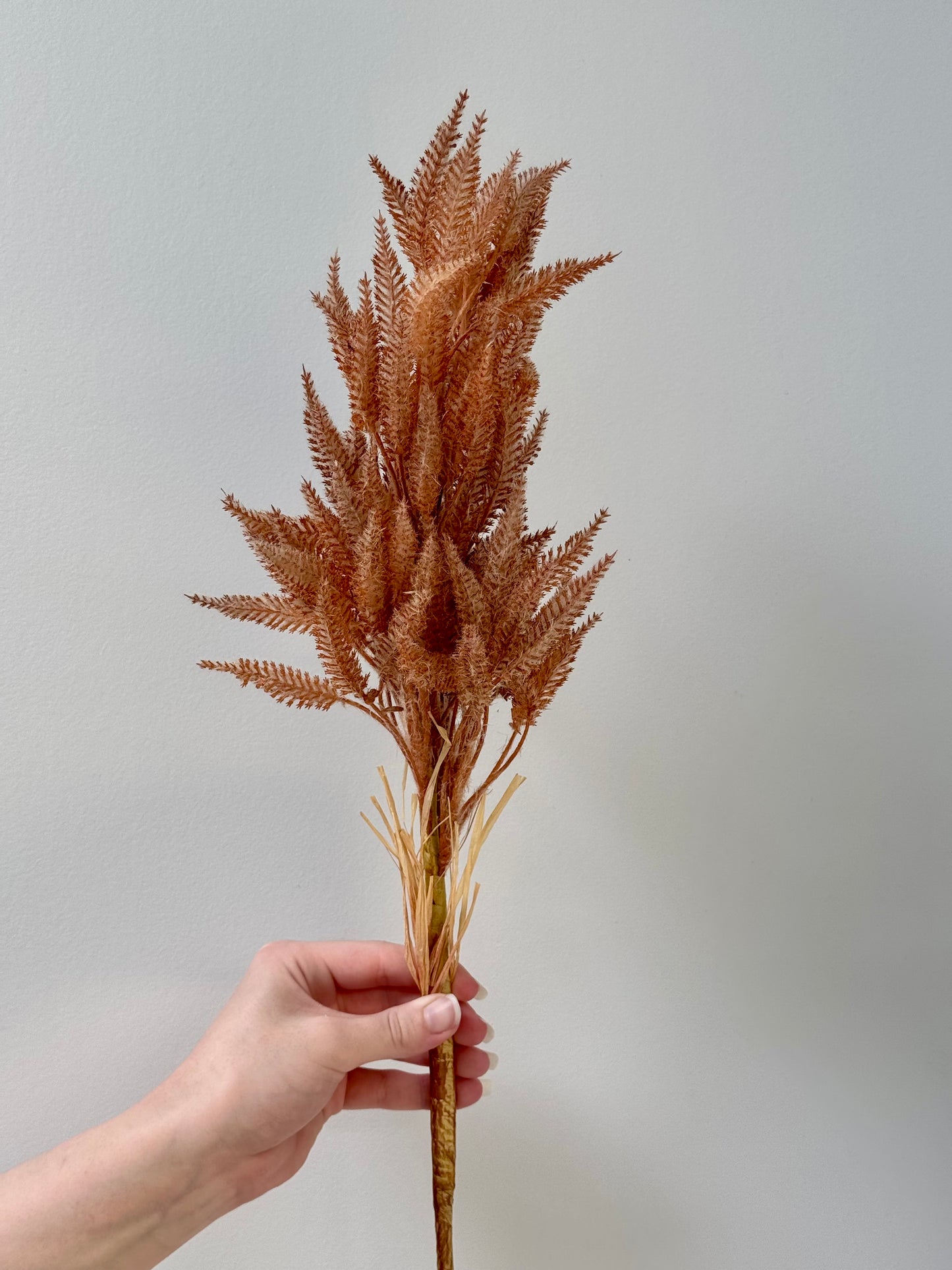 Sorghum- Toffee
