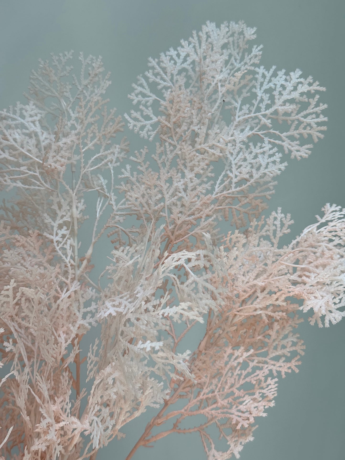 Coral fern Spray- Pink