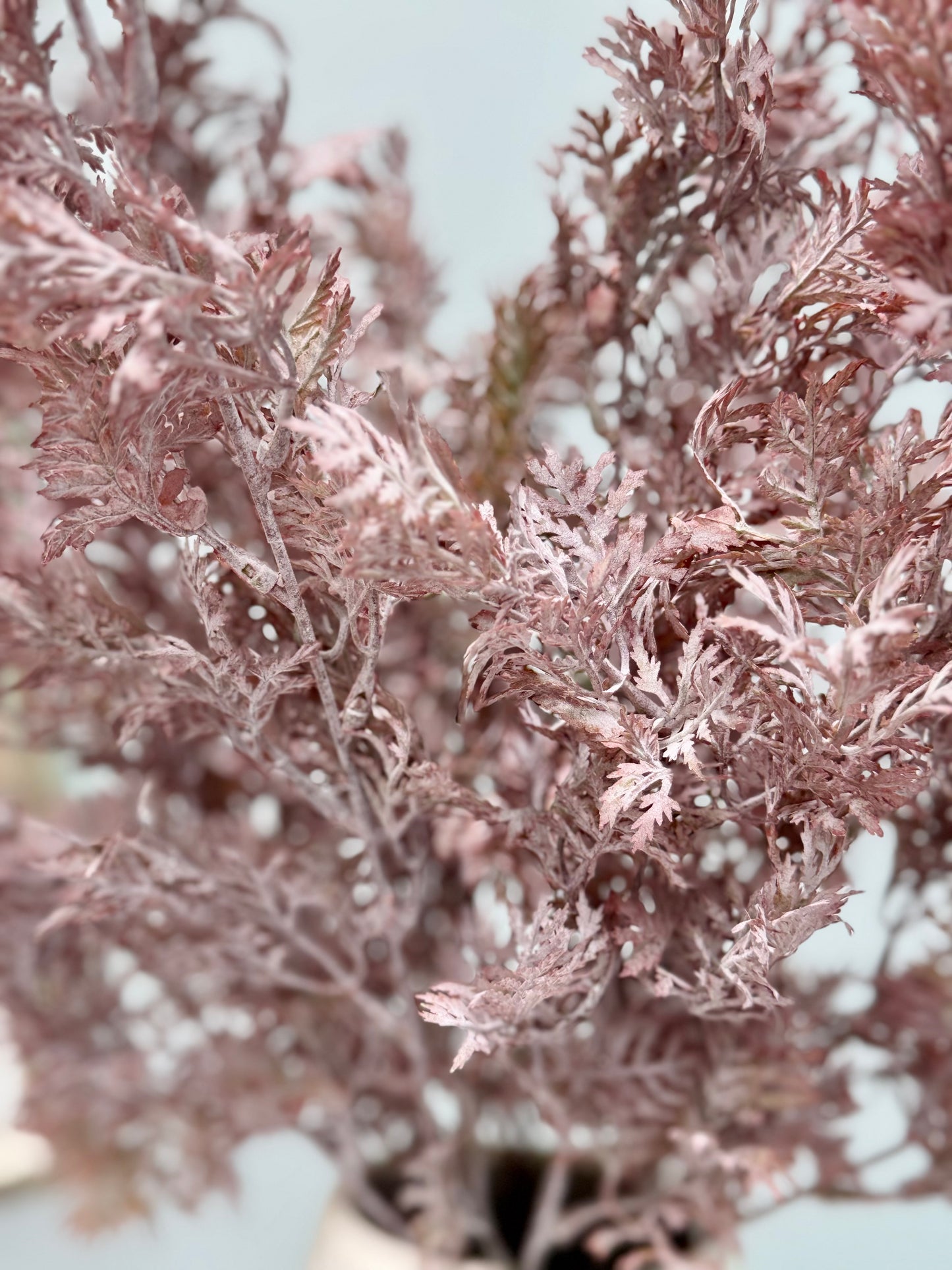 Thread grass-Burgundy/Green