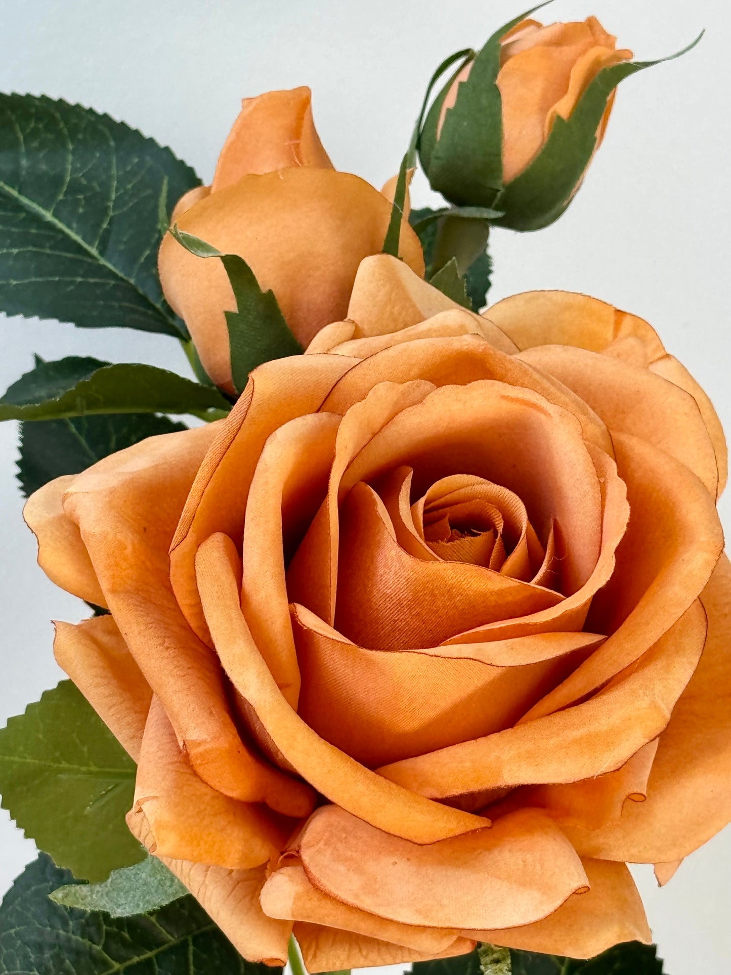 Lisa Rose Spray-Toffee