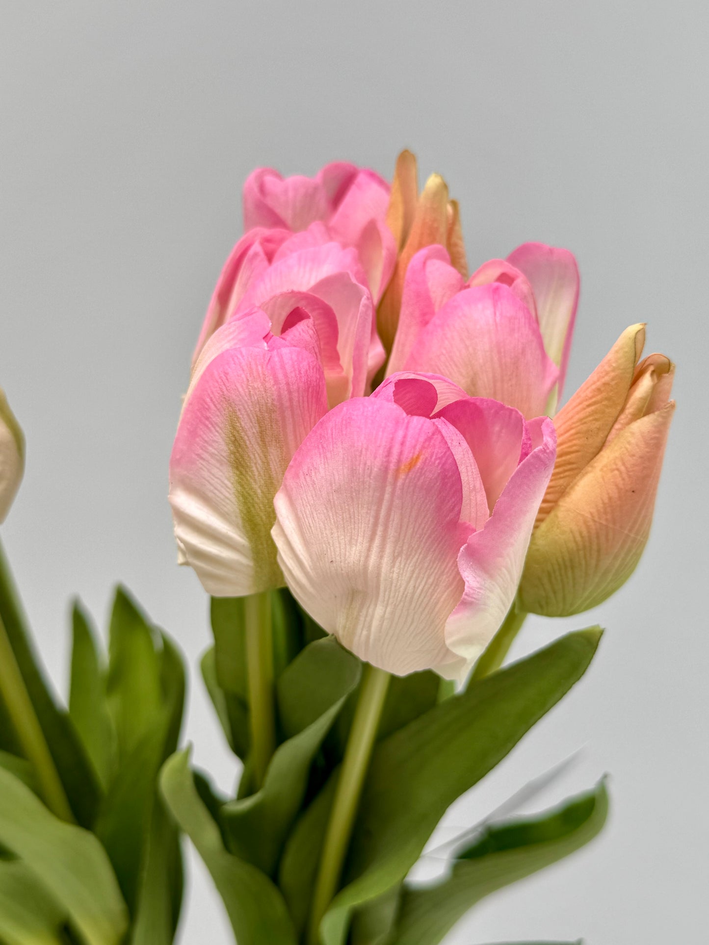 Tulip bunch- Soft Pink