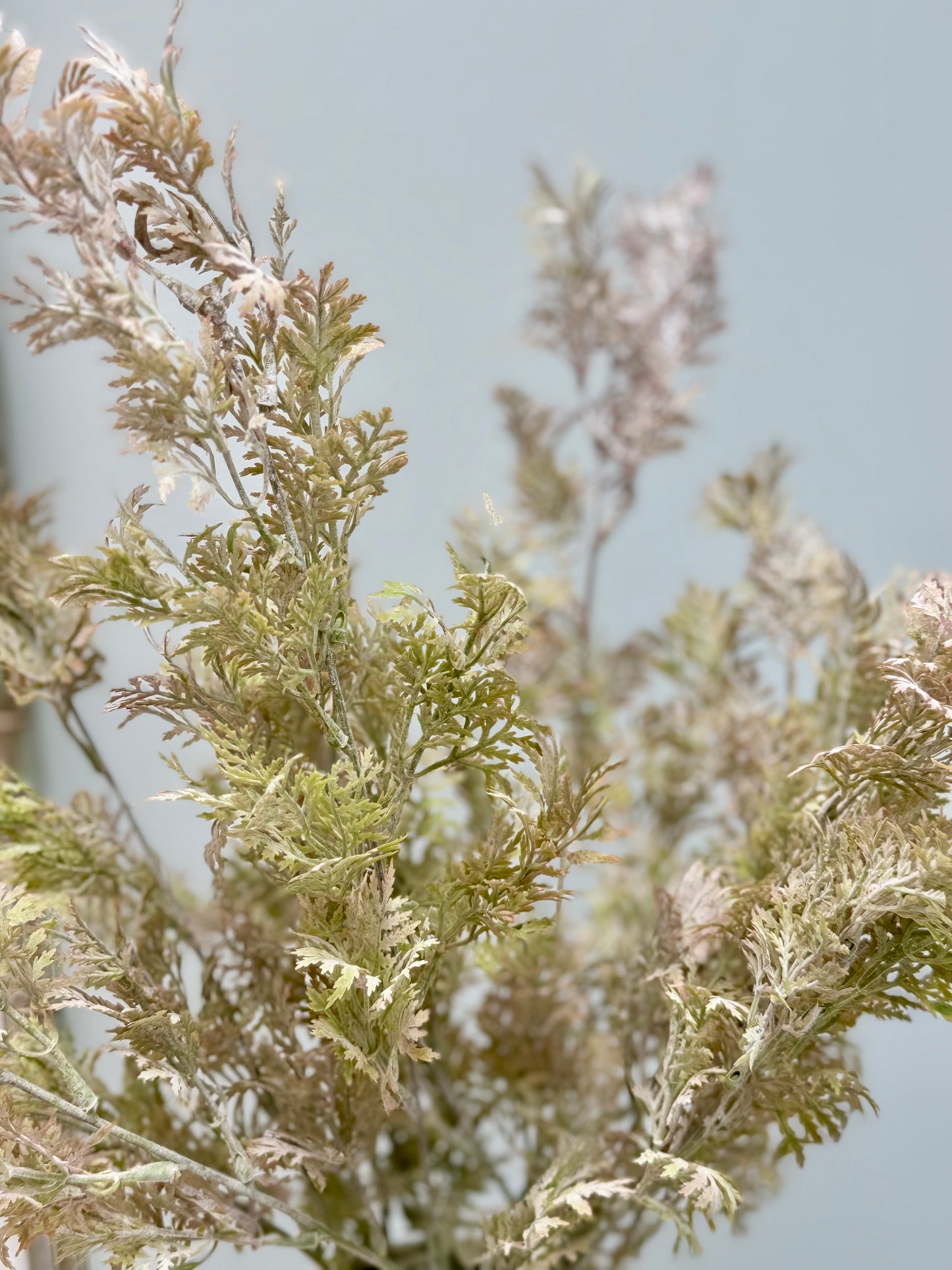 Thread grass-Rust Green