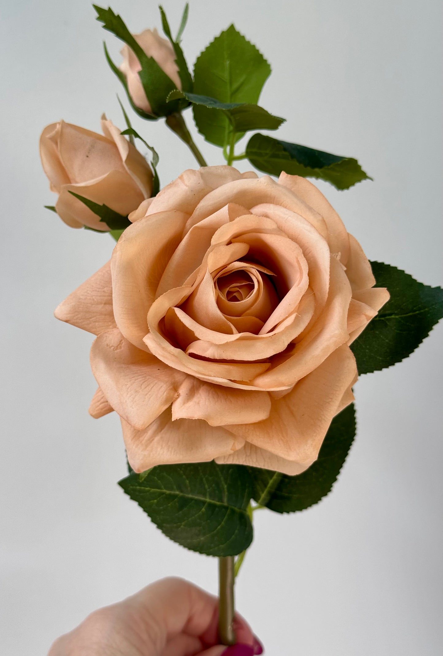 Lisa Rose Spray-Blush