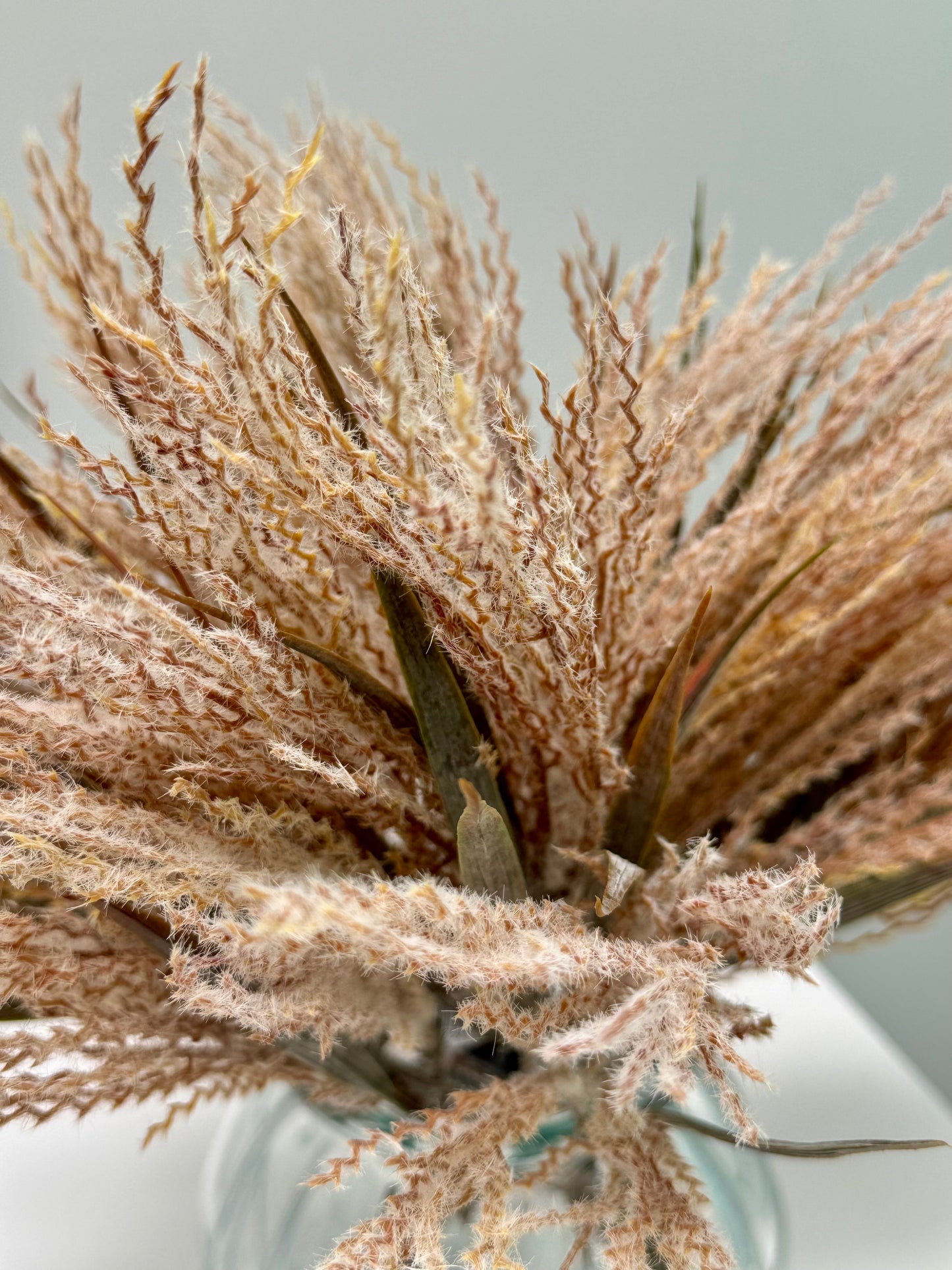 Plume Grass-Dusty Pink