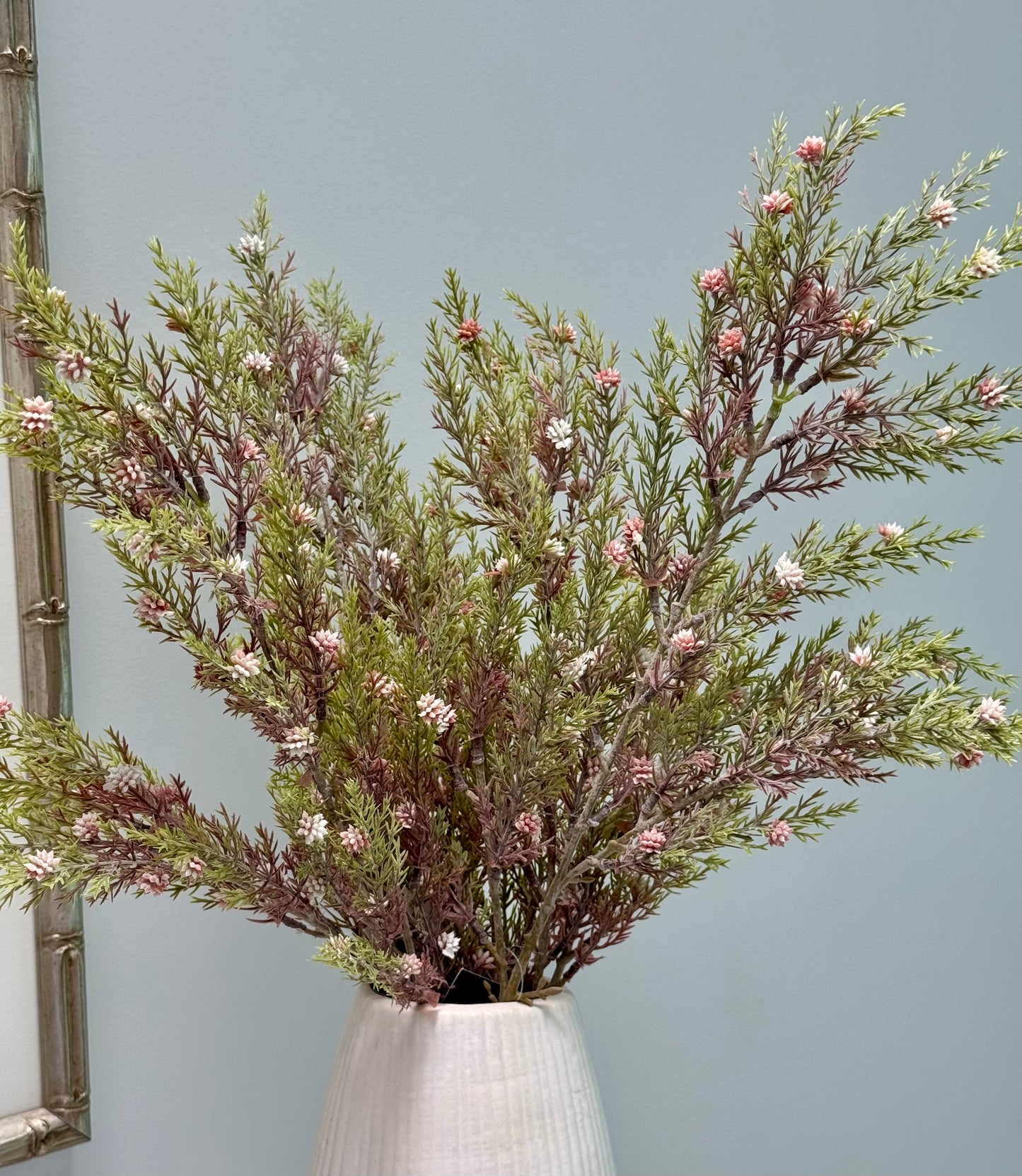 Pine seed spray